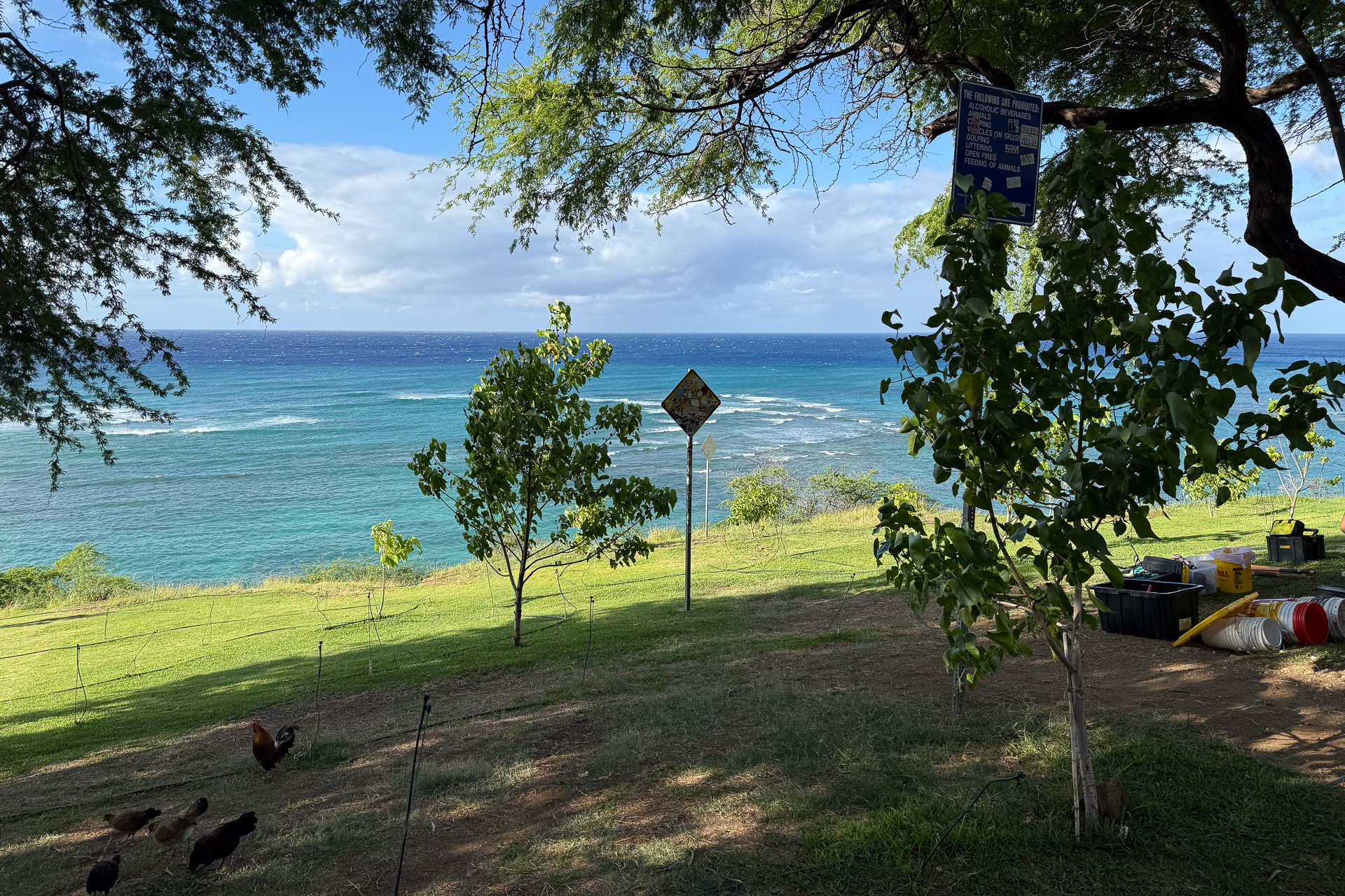 朝の光で見るKuilei Cliffs Beach Park。これぞハワイという海の色が絶景