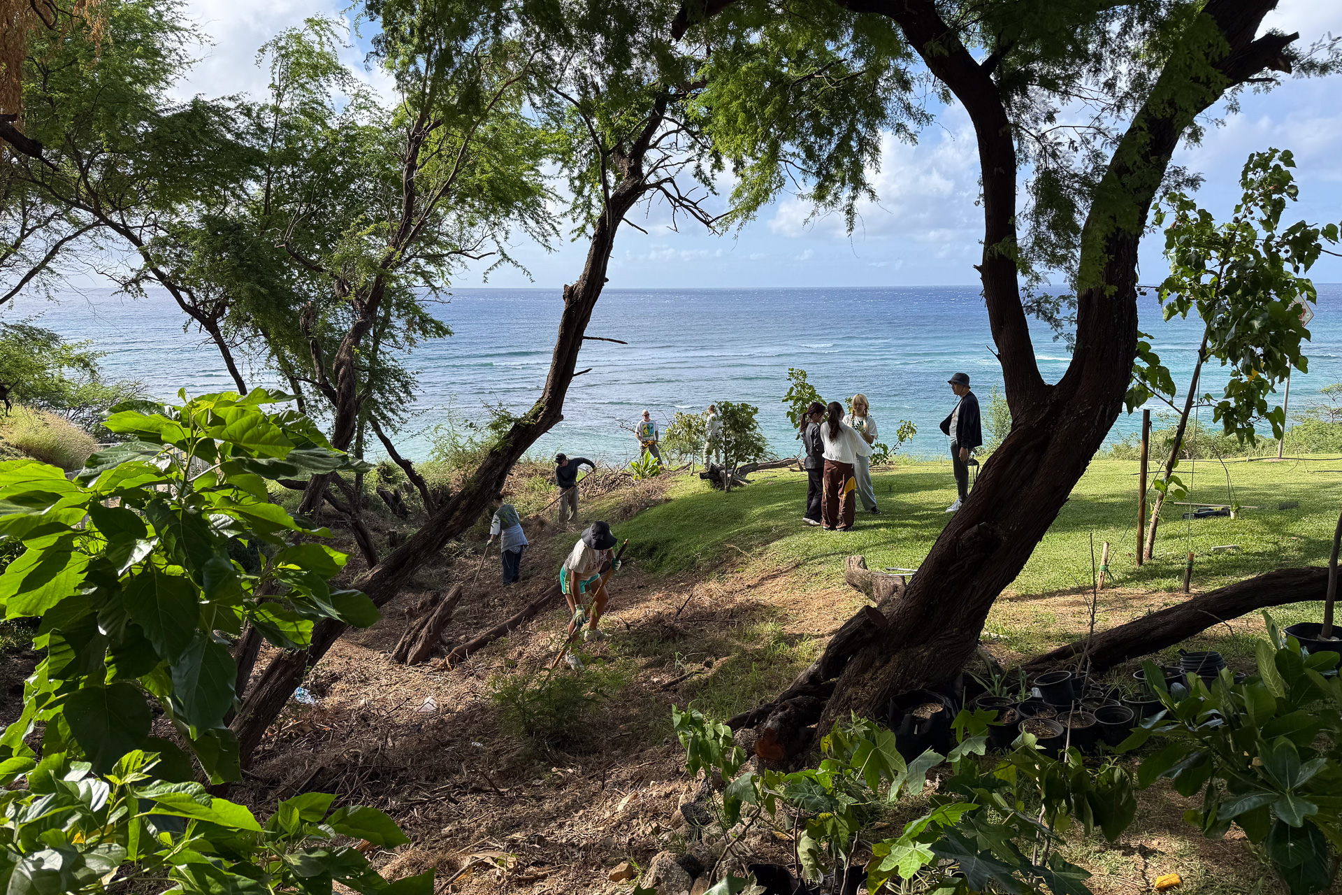 思い思いの道具を手にクリーンアップに参加していた