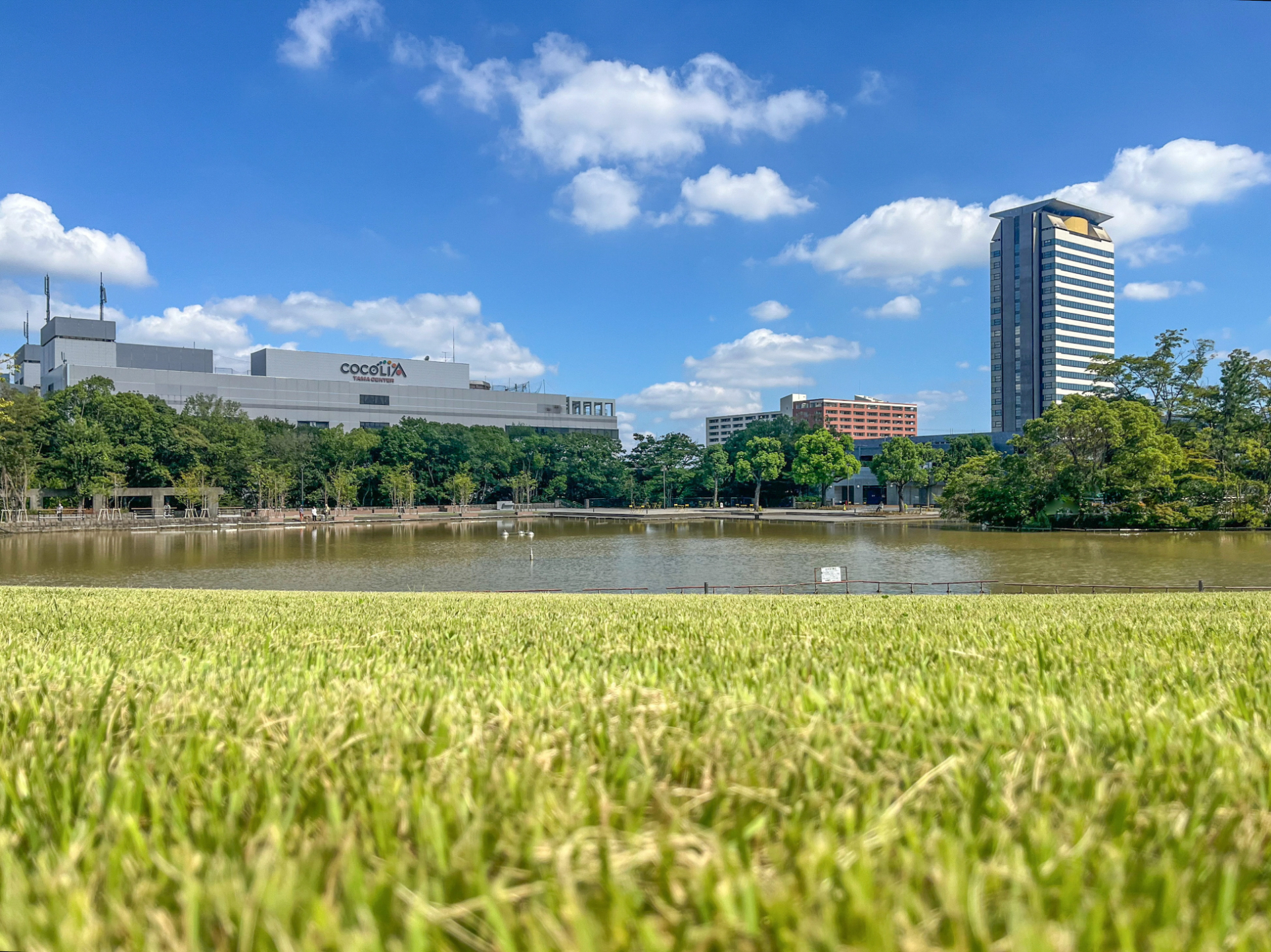 芝生広場と大池