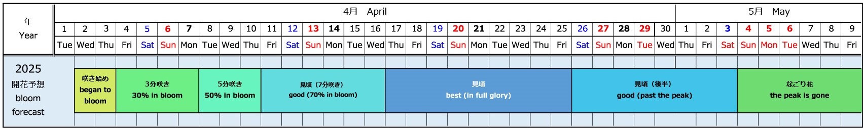 ネモフィラ開花予想2025年版（3月19日時点）