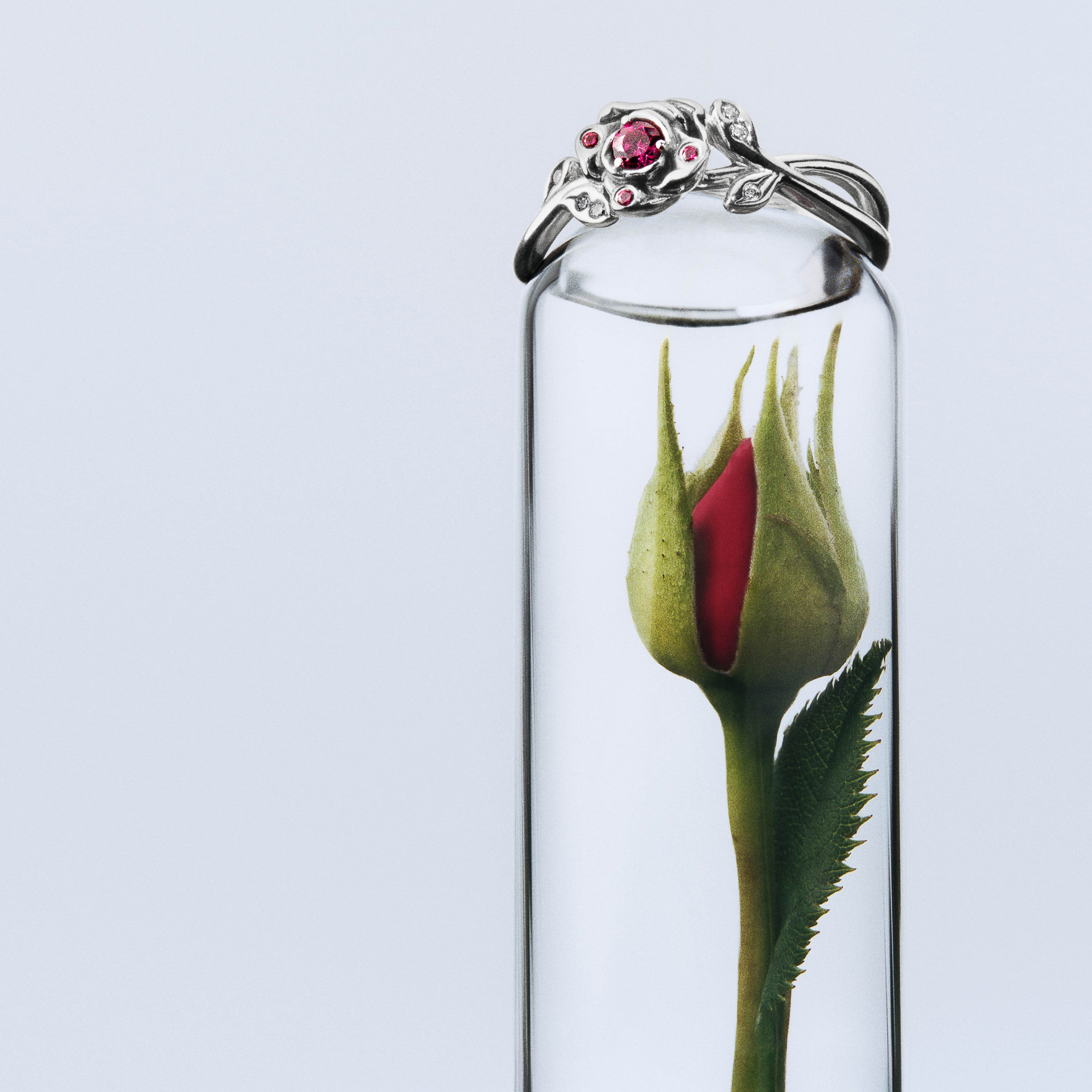 「Disney Beauty and the Beast Rose Ring」（1万3200円）