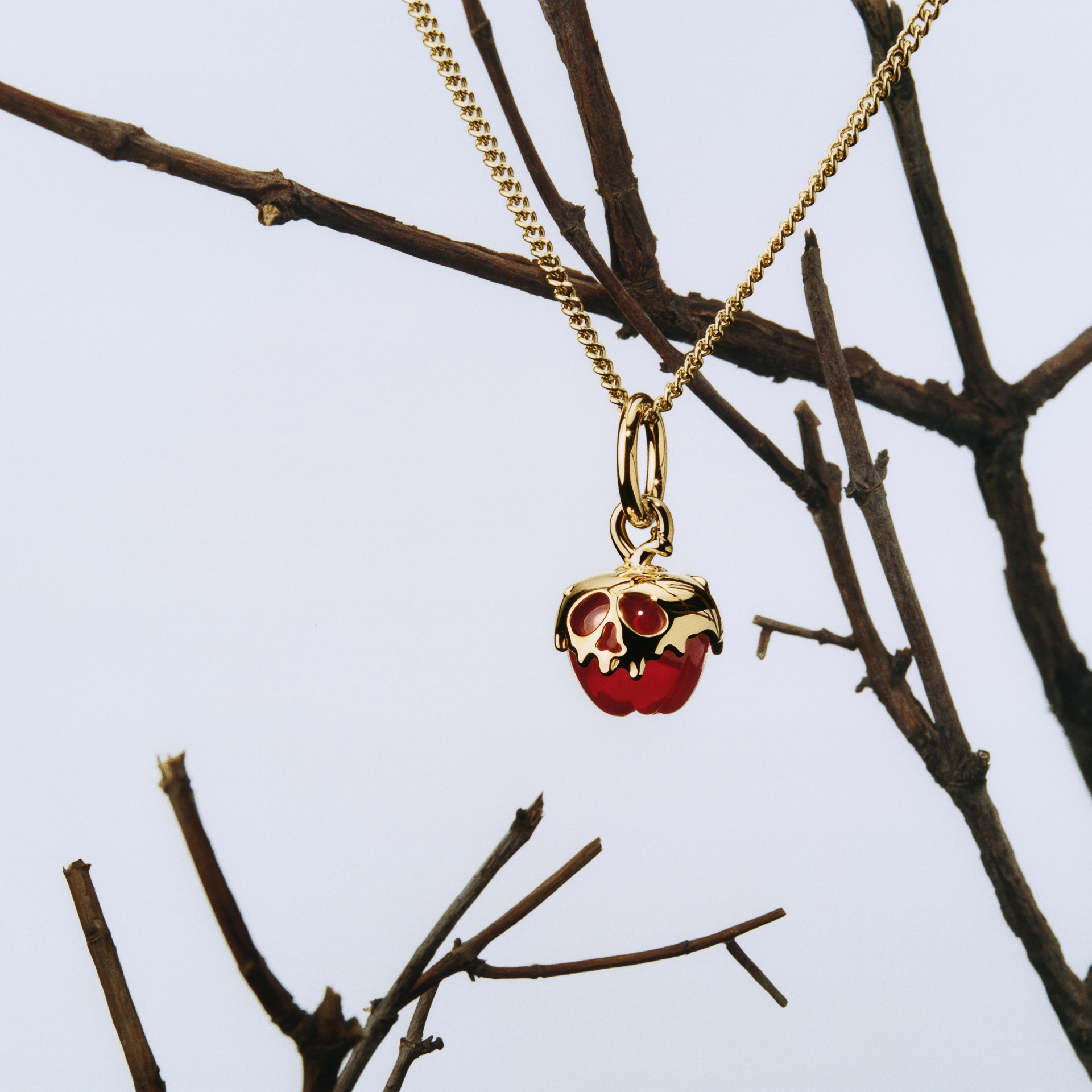 「Disney Villains Evil Queen Apple Dangle Charm」（1万5950円）
