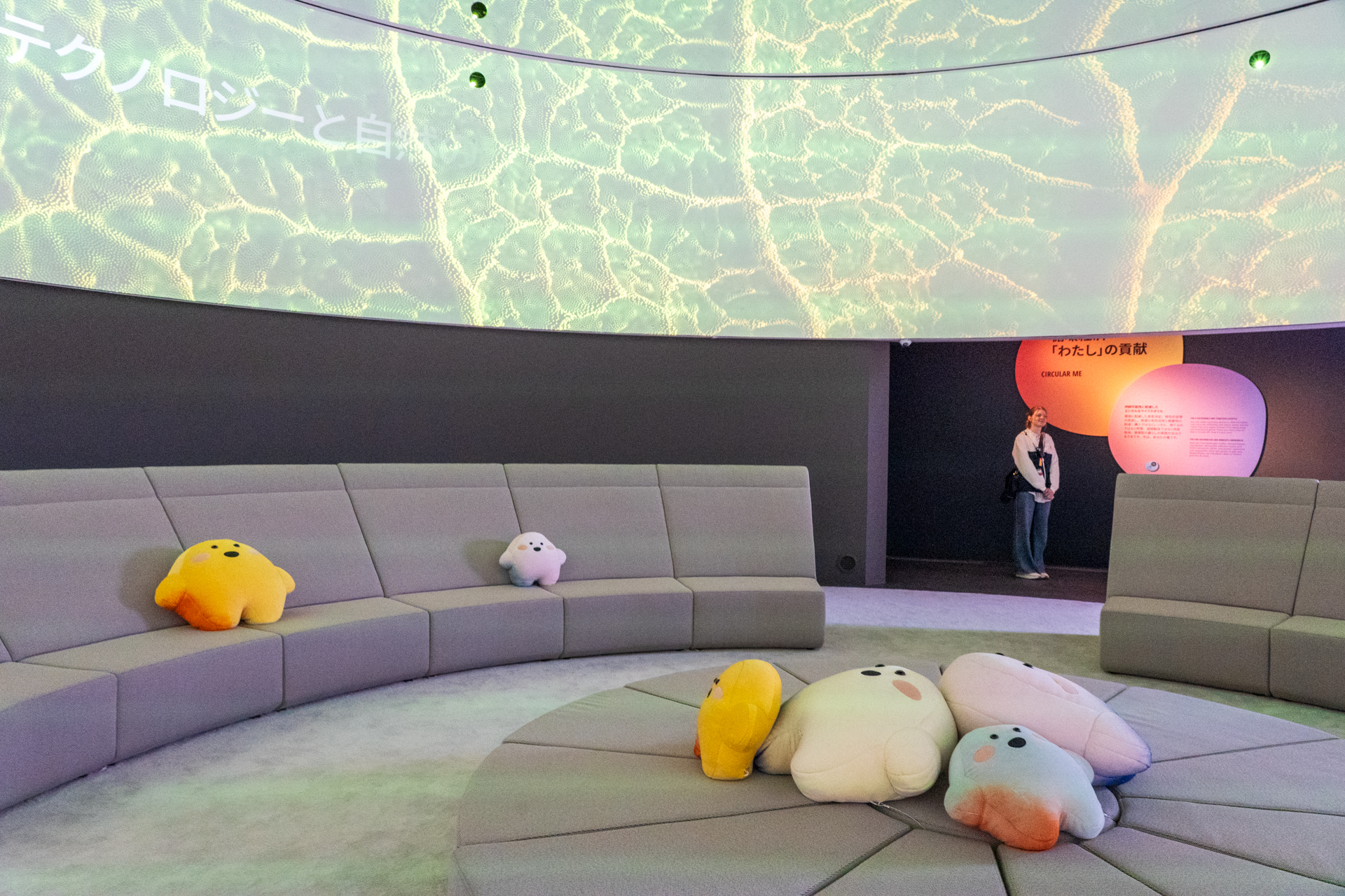 サーキュラーのぬいぐるみが置かれたスペースでは、鏡張りの天井を見上げながらぜひ横になってみてほしい