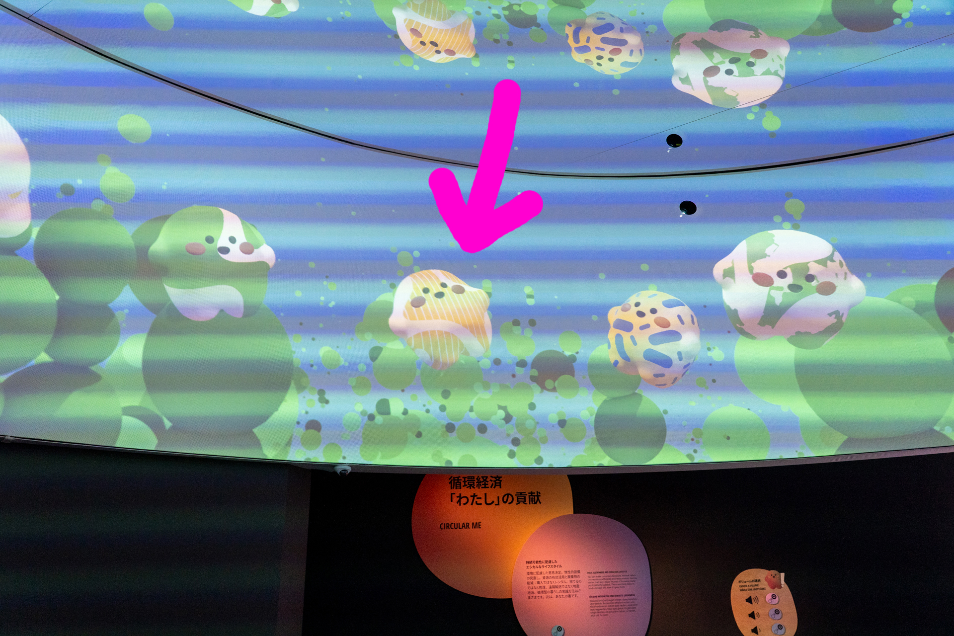 自分の作ったオリジナルサーキュラーが映像のなかに登場する仕掛けも