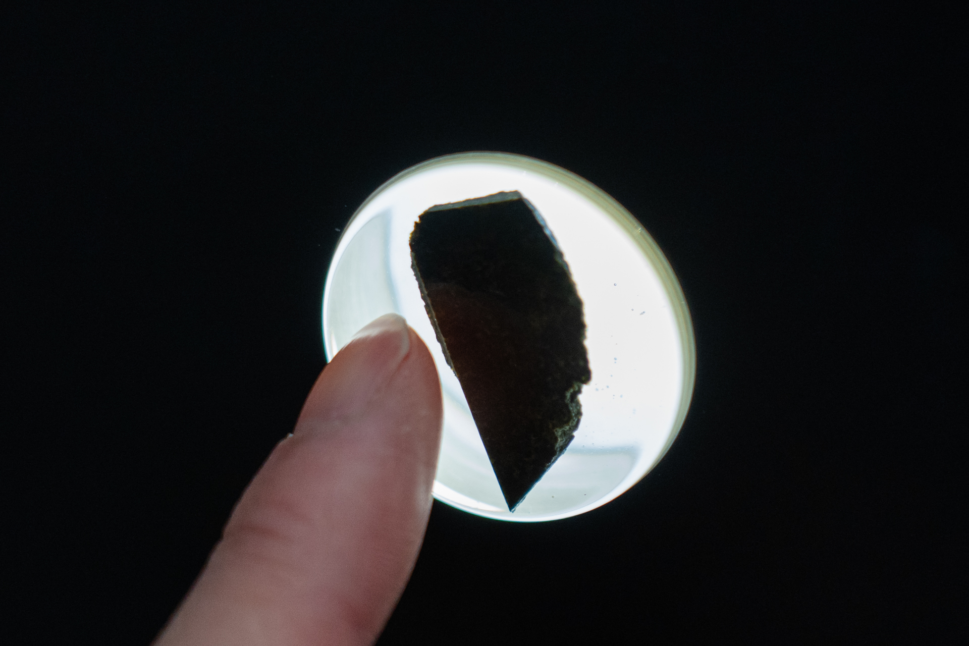 火星の石に触れてみた