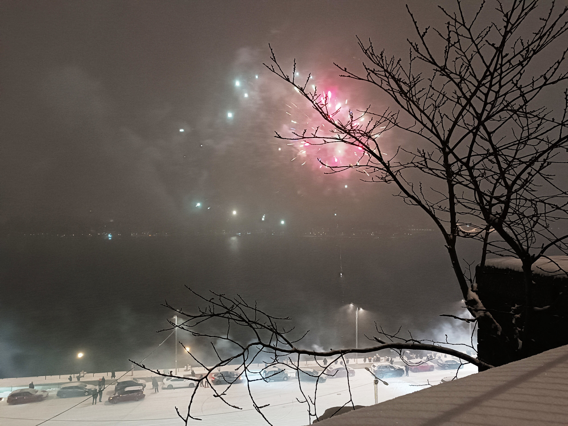 想定外のところから花火が打ちあがったので、ものすごく驚いて迎えた新年となりました