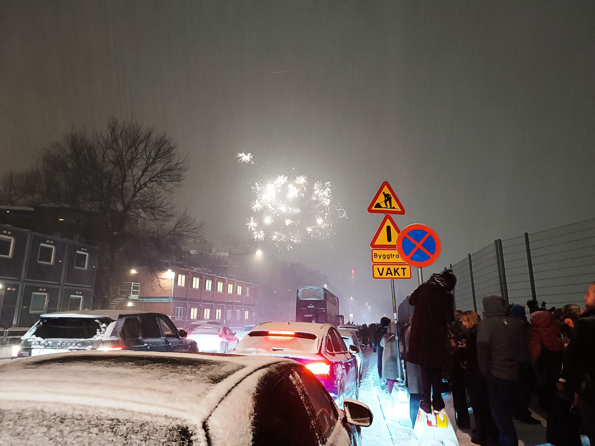 想定外のところから花火が打ちあがったので、ものすごく驚いて迎えた新年となりました