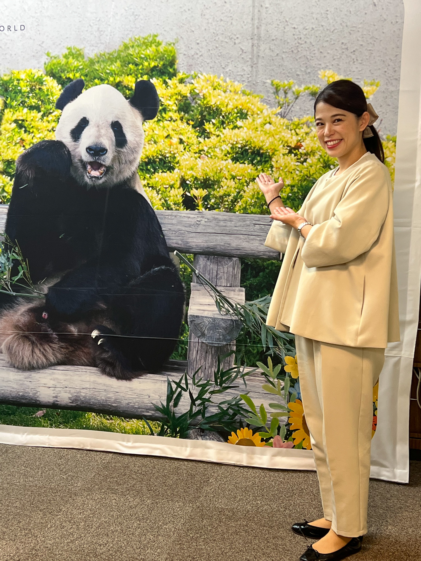 白浜アドベンチャーワールドでは人気者であるパンダをご覧いただけます