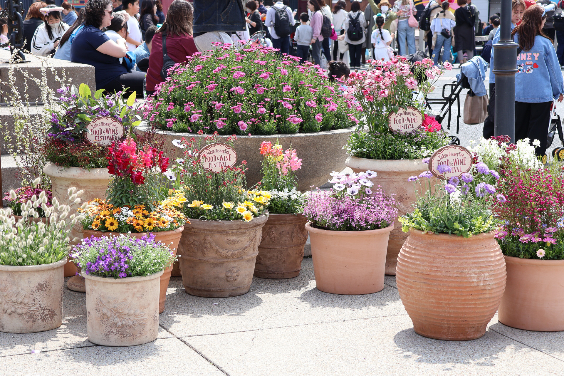 額縁型に作られた大型のフォトスポット