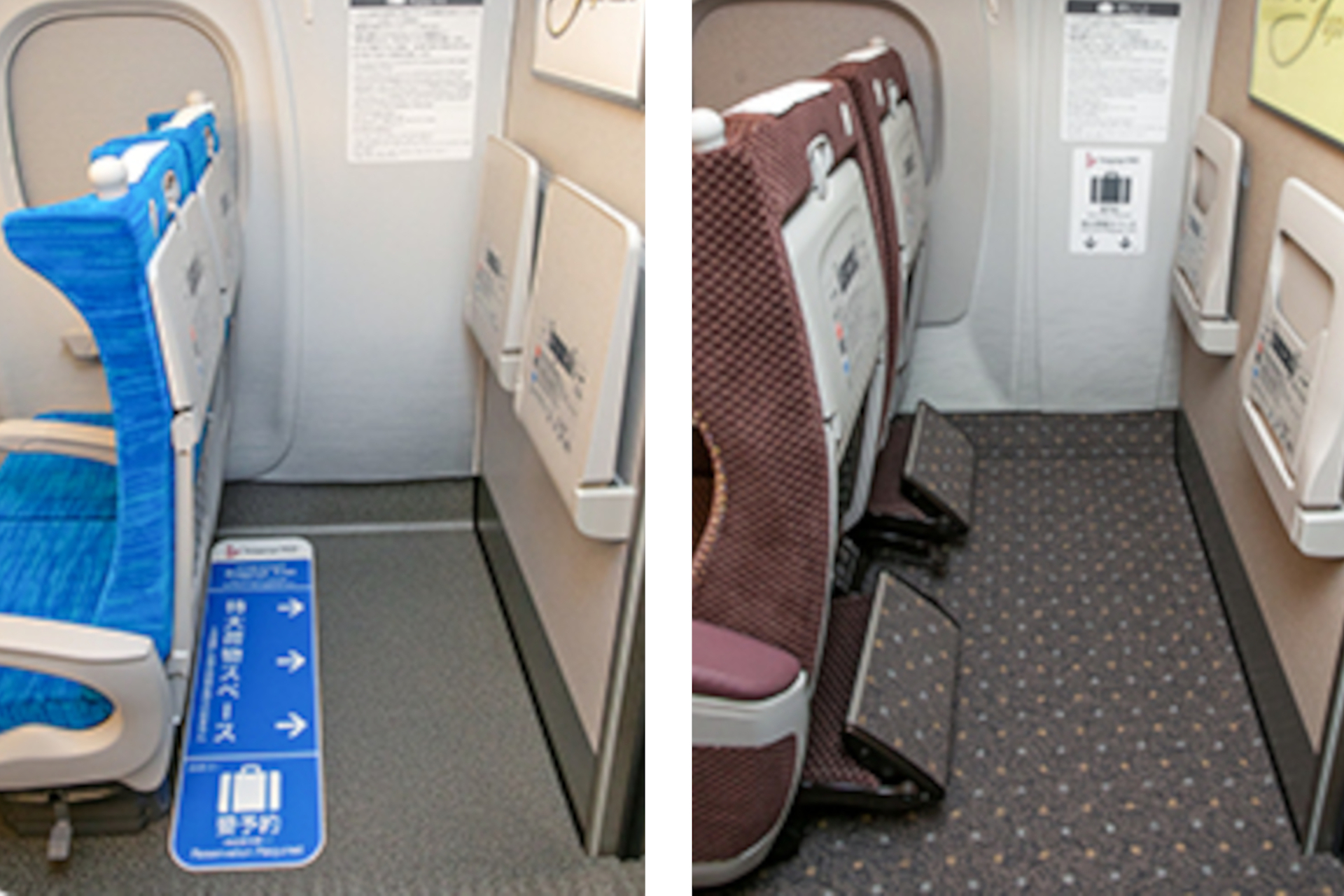 東海道・山陽・九州・西九州新幹線の「特大荷物スペースつき座席」（普通車/グリーン車）