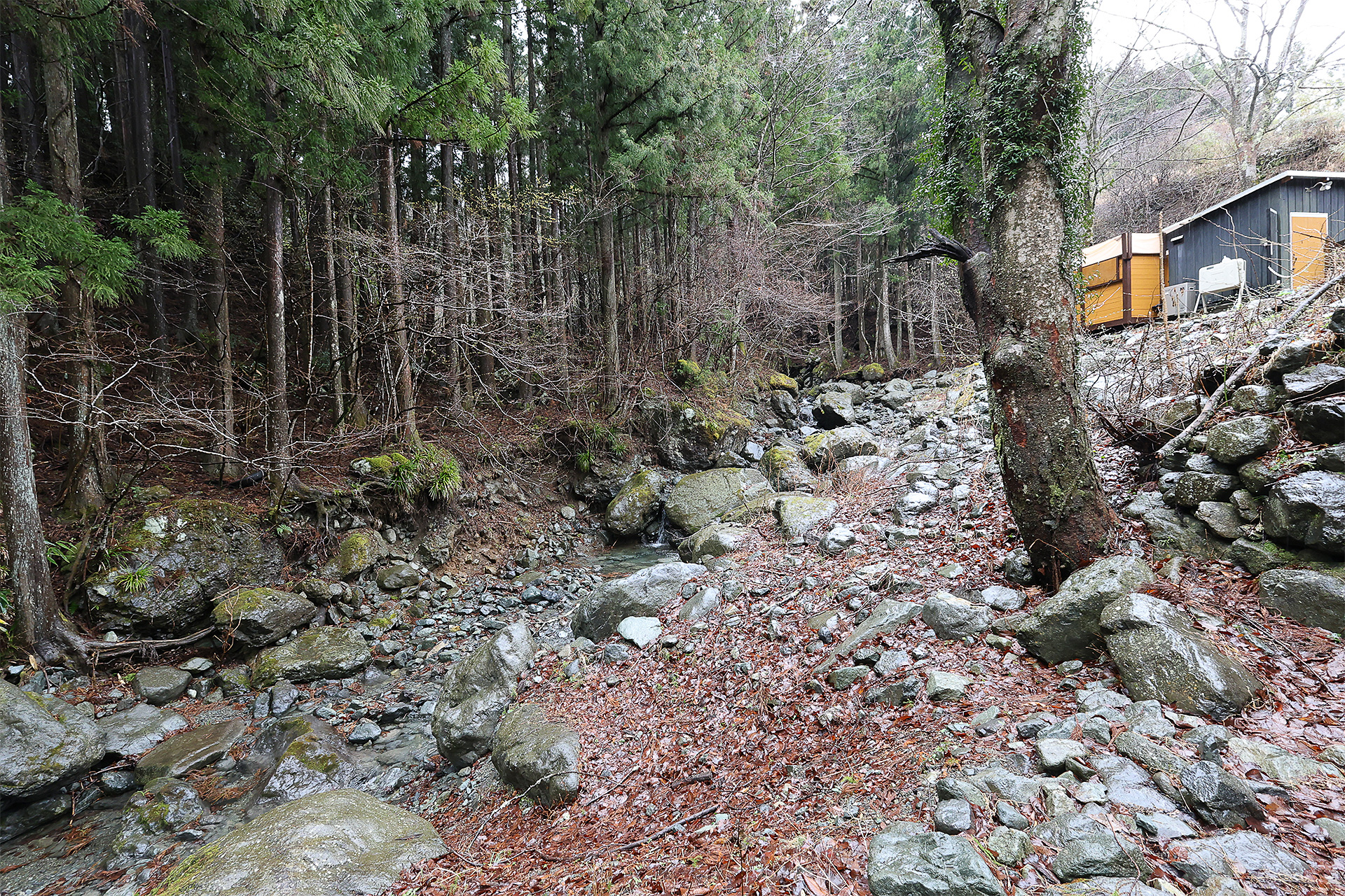 ナスビサイトの奥から沢を見た風景。この沢は冬季は水が流れないので水自体はきれいだが魚はいないようだ