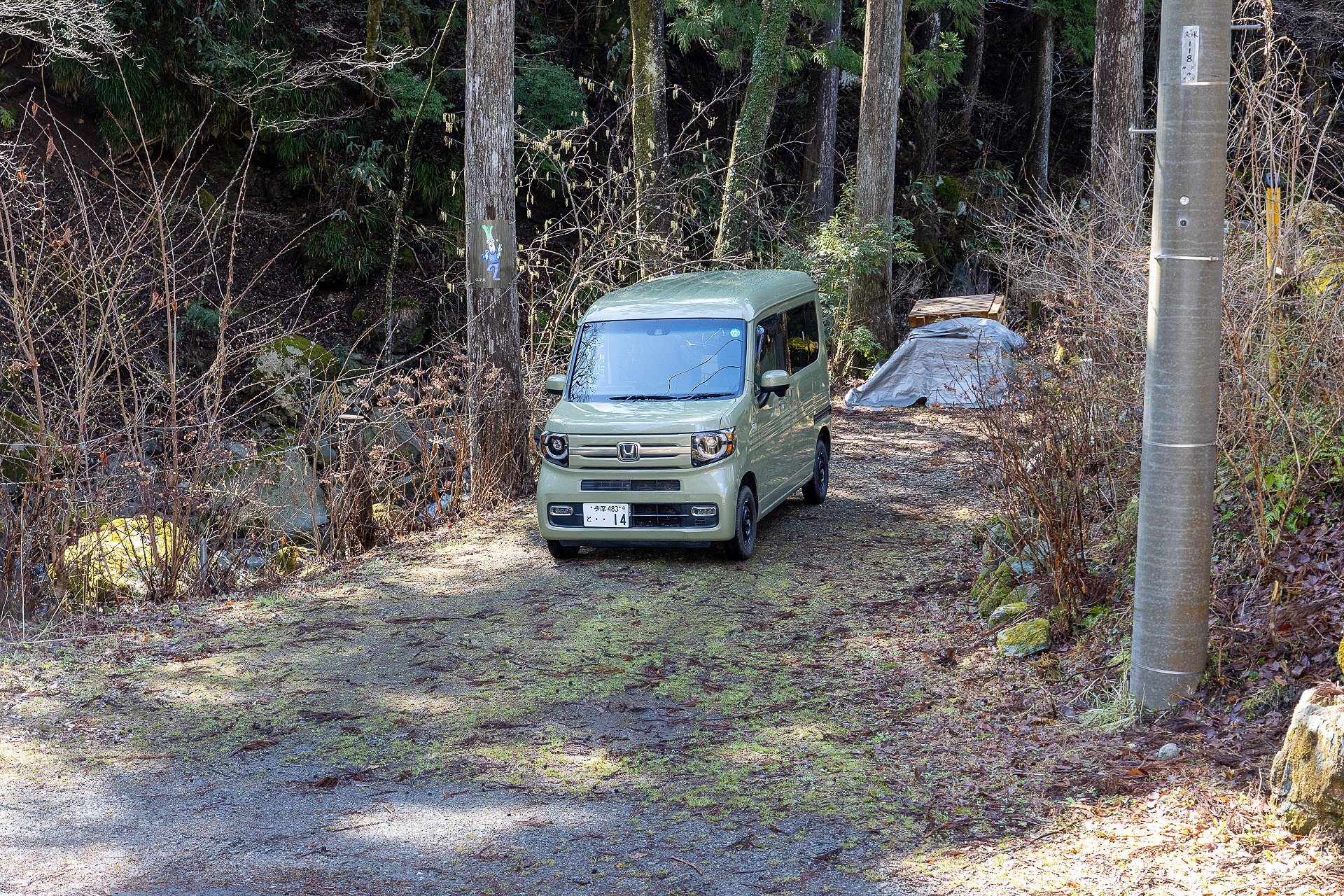 こちらはネギボサイト。正面道路と同じ高さなので入退場が容易。サイト内は地面が比較的平ら