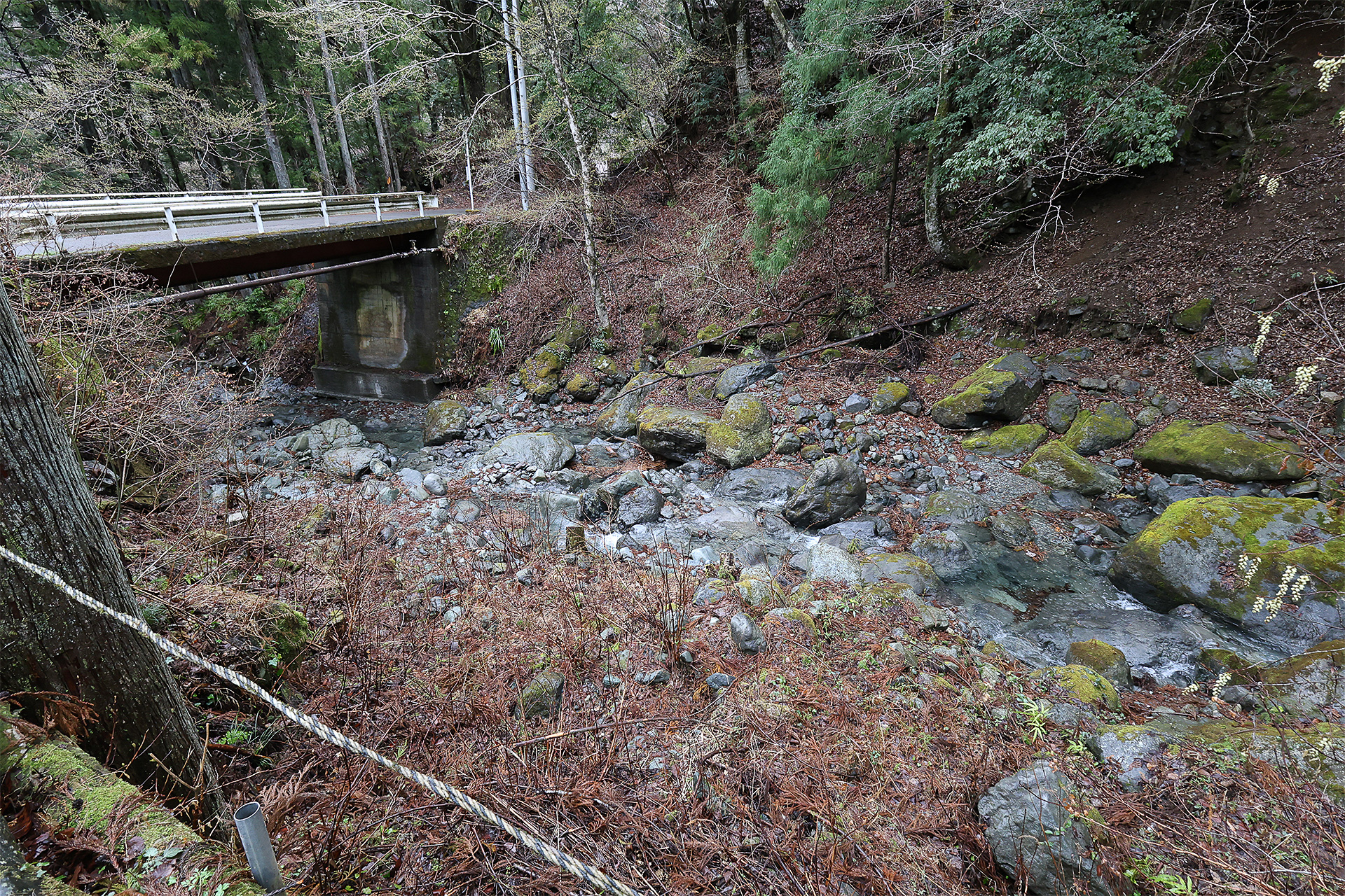 サイトから沢を見る。サイトから沢へも高低差があるので、沢に降りる際はコテージの奥にある通路を利用する