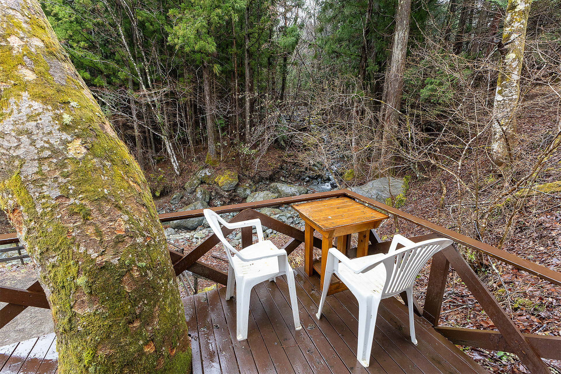 フルールのデッキから沢の上流を見る。コテージ、RVパーク含めてここが一番眺めがいい