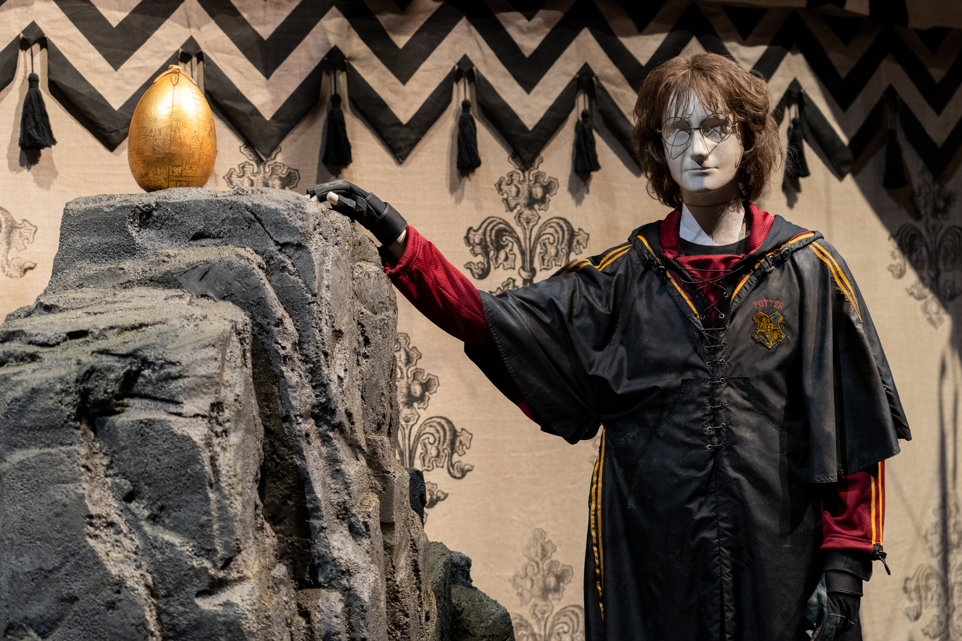 ハリーと金の卵。それを見つめているハンガリー・ホーンテールが天井にいるのをお見逃しなく