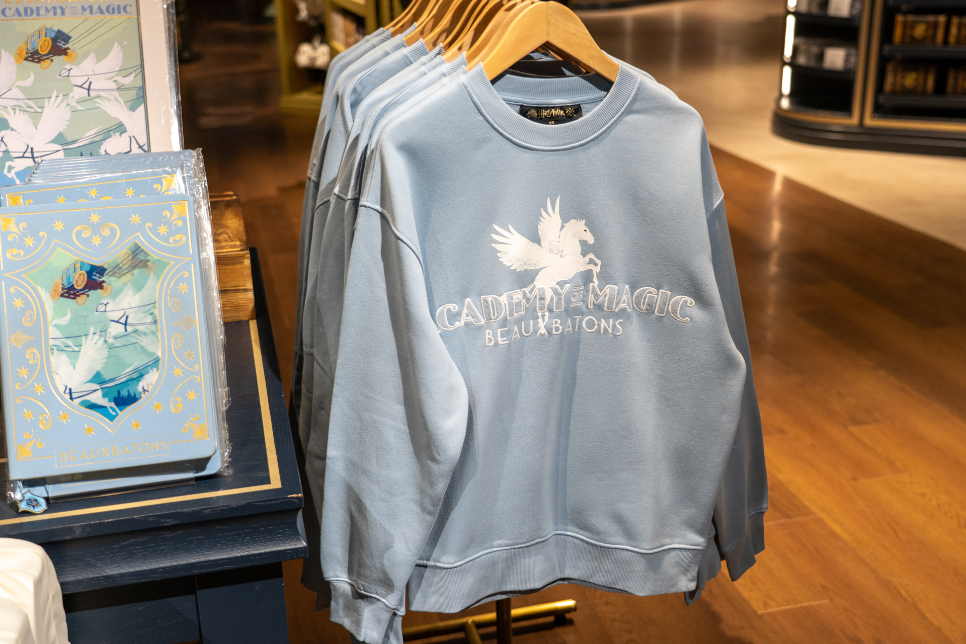 ボーバトン魔法学校 スウェットシャツ（6500円）