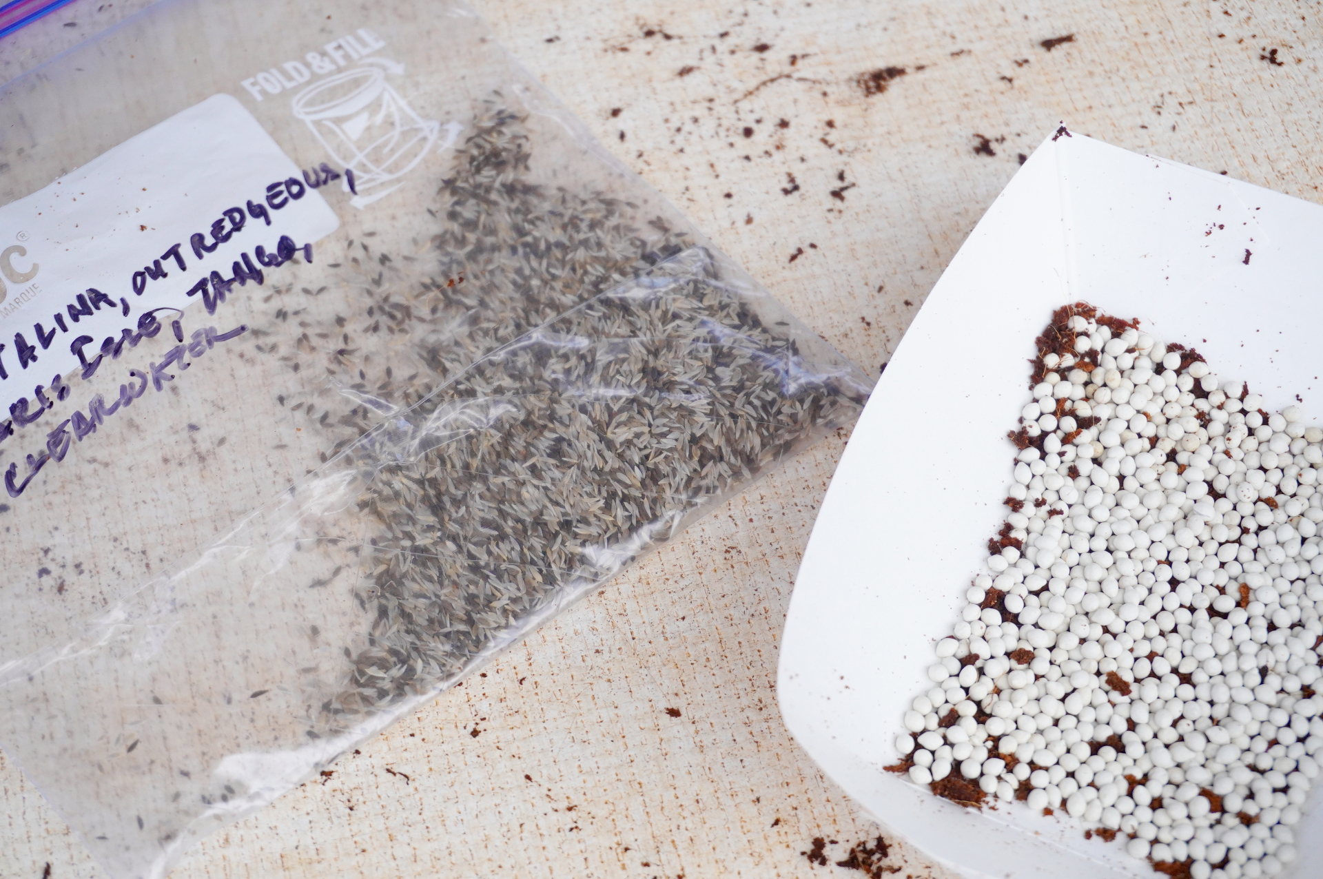 左はそのままのレタスの種。右の白くて丸い見た目のものは、撒きやすく成長しやすいよう、ココナッツ由来のオーガニックなコーティング剤で包んだ種