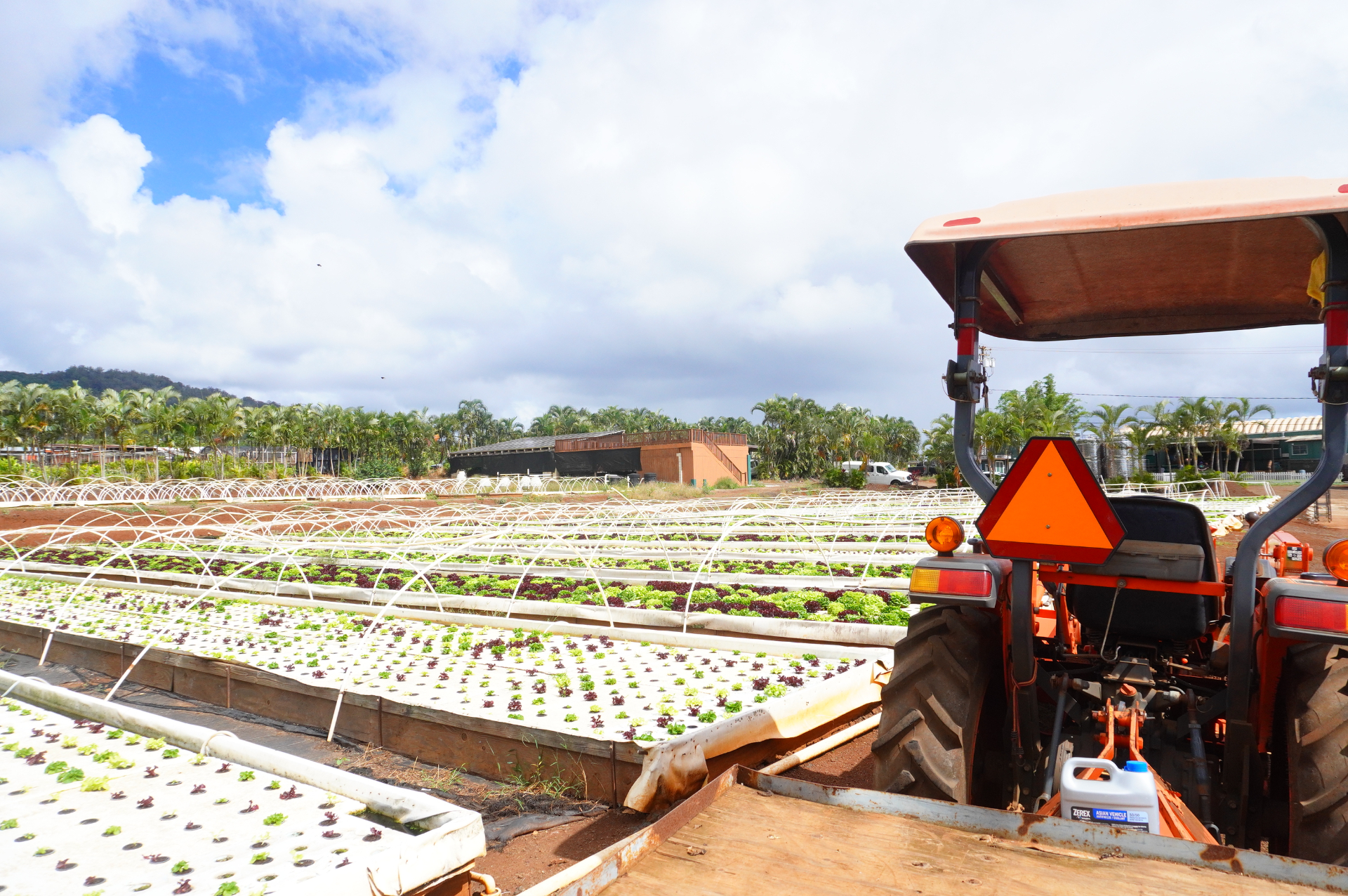 ハワイ旅行の需要回復を目指す「ジャパンサミット2025」開催。オアフ島にある“超エコなレタス農場”のボランティア体験ツアーに参加してきた