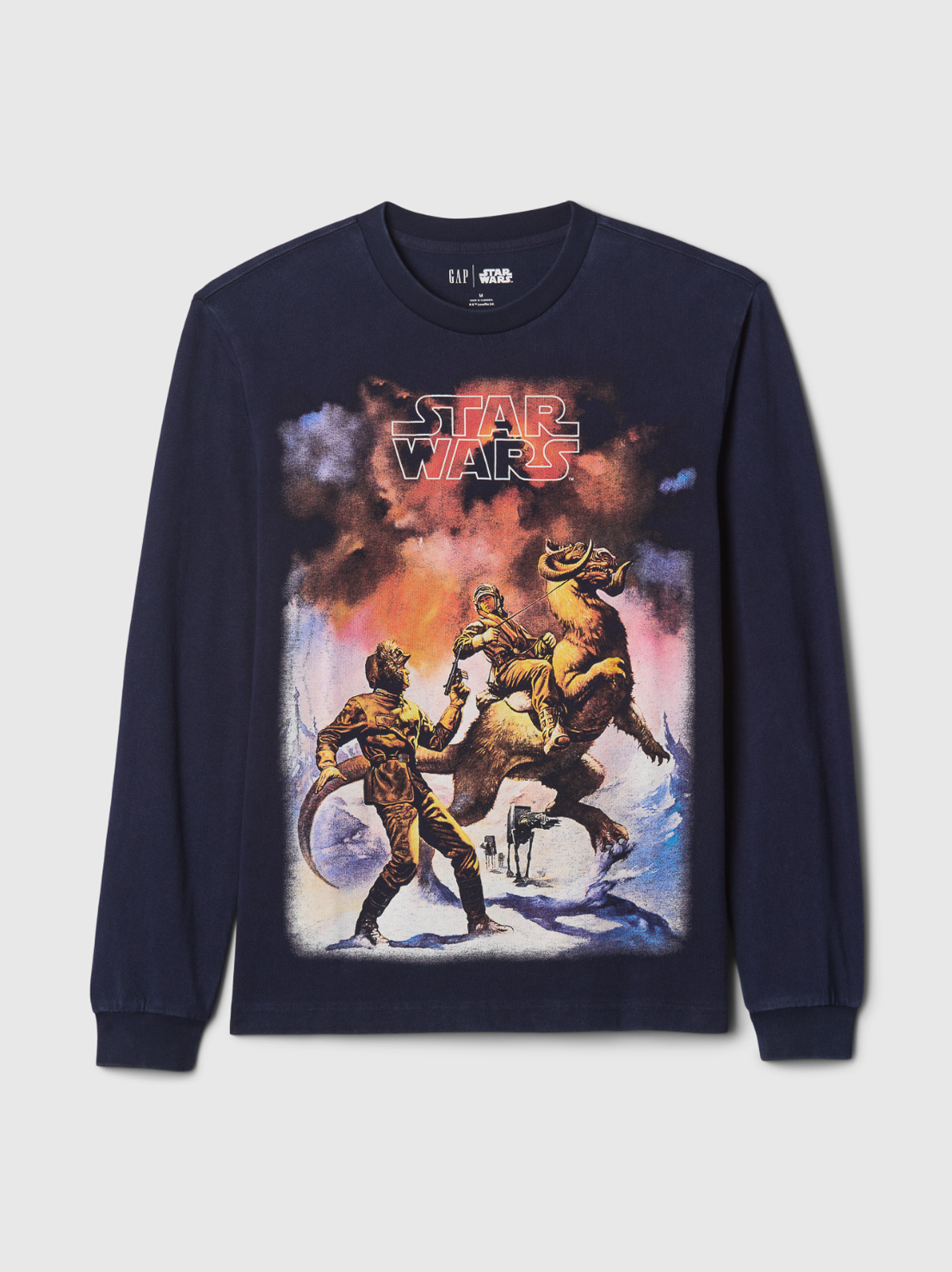 「グラフィックTシャツ」（6990円）