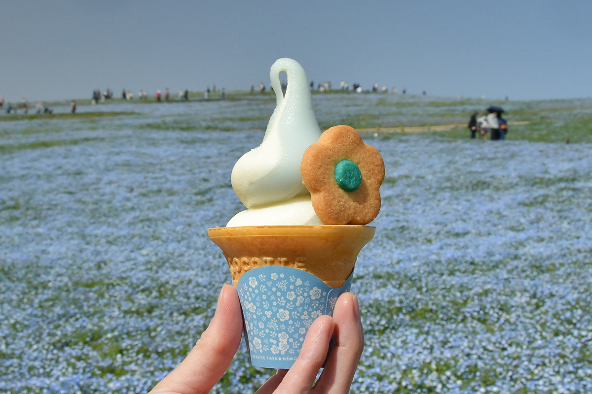 ネモフィラブルーソフト