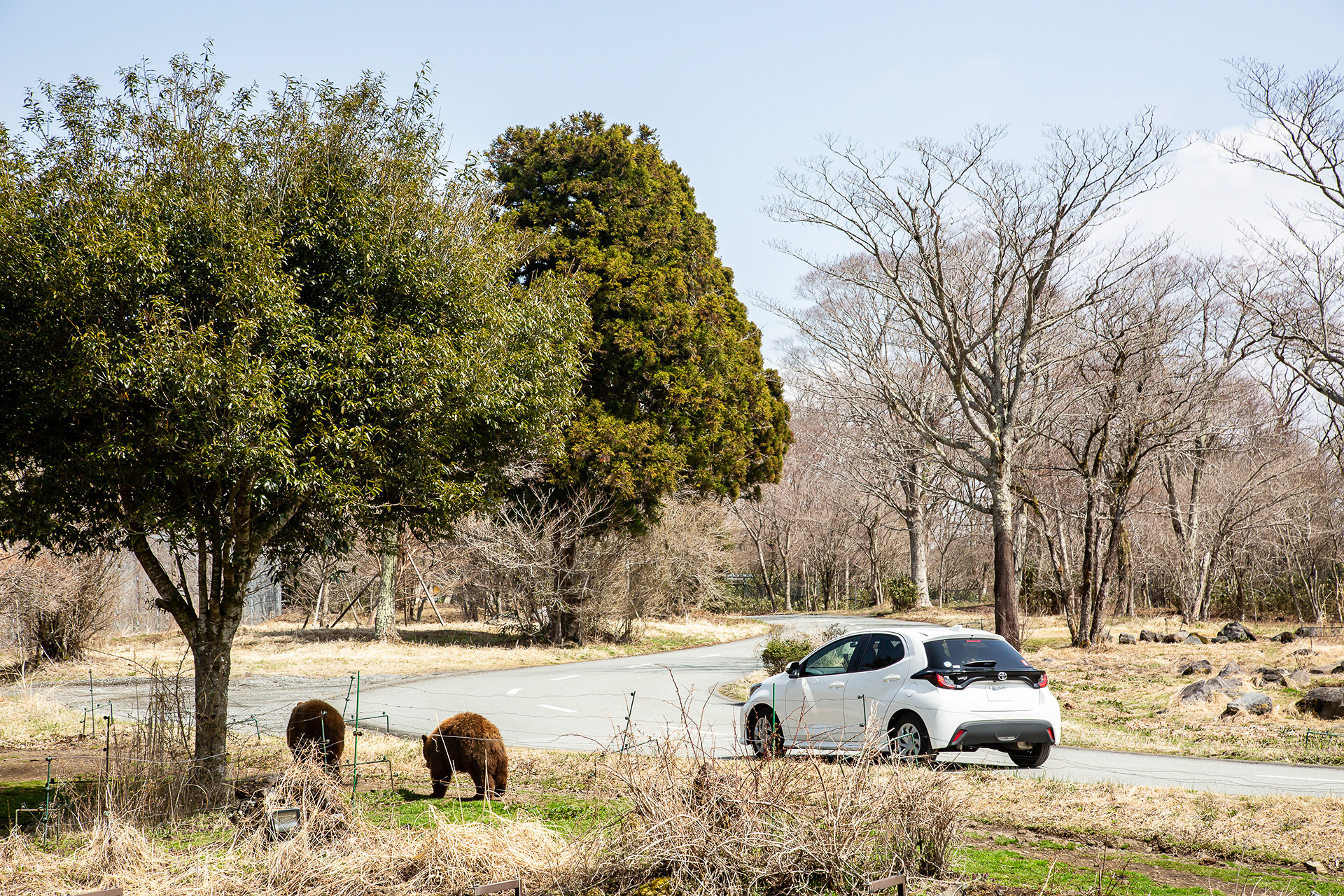 サファリゾーンは自家用車で楽しむことが可能。1周すると50分ほど