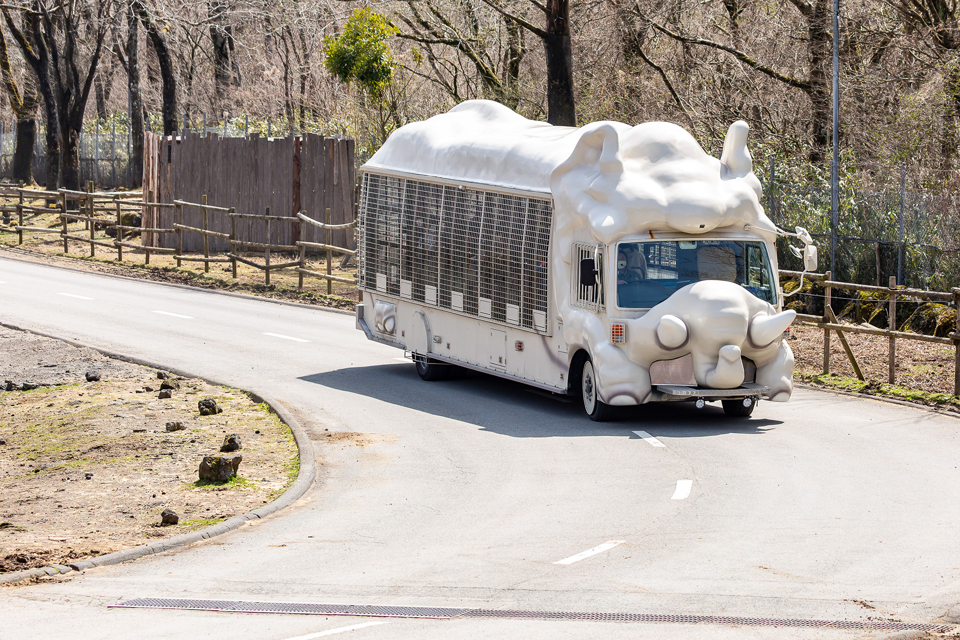 サファリゾーンを走るジャングルバス