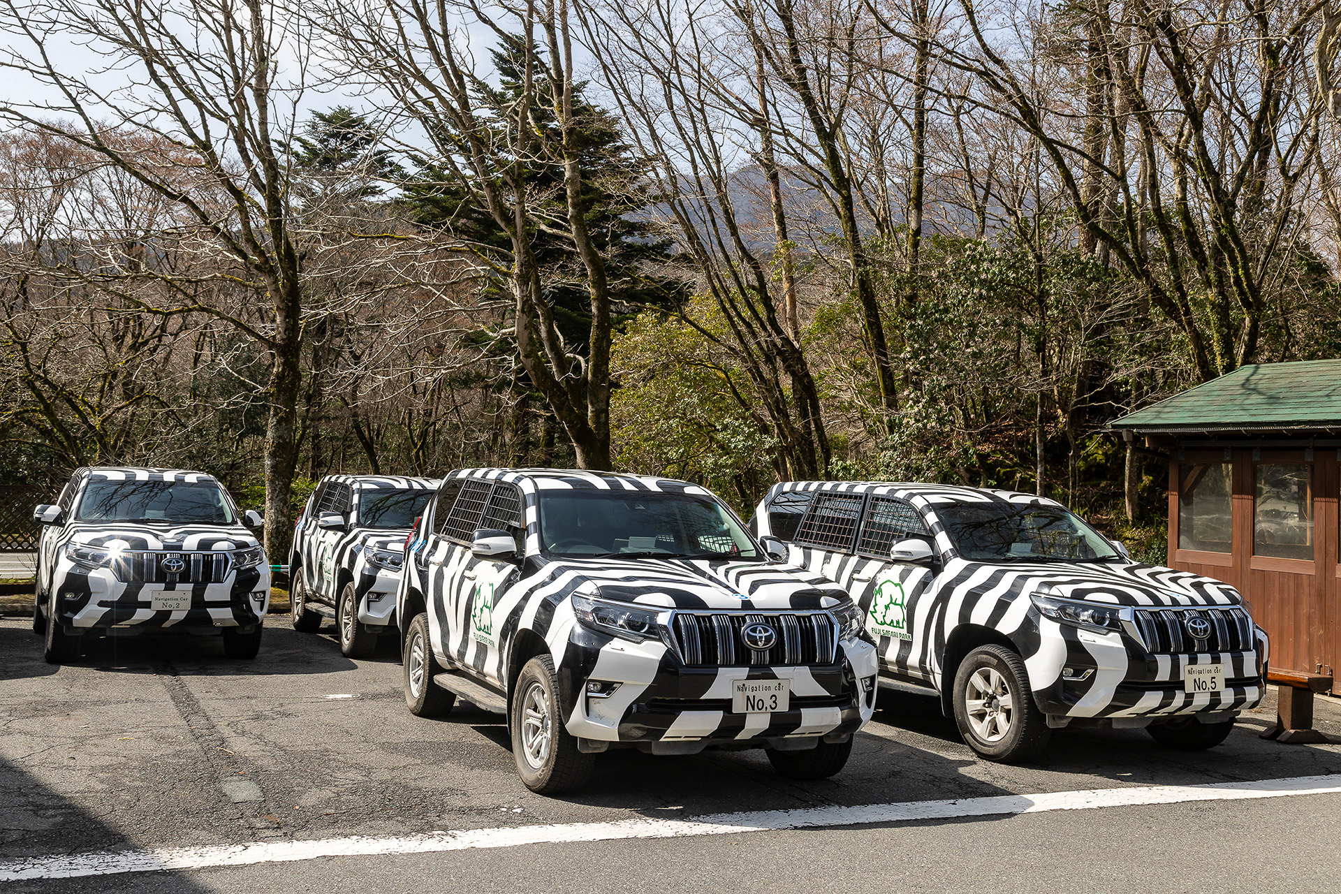 ナビゲーションカーをレンタルして走行することも可能。要普通免許。利用料金は6500円