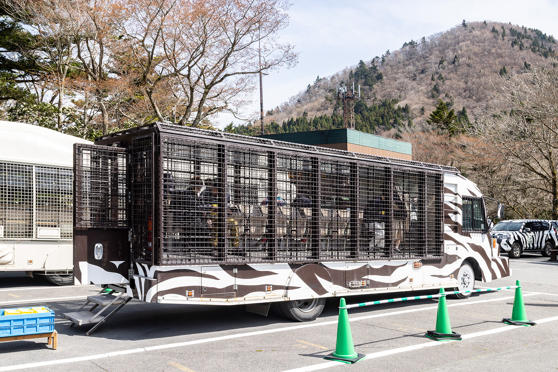 後方から見たスーパージャングルバス。全面金網な感じ