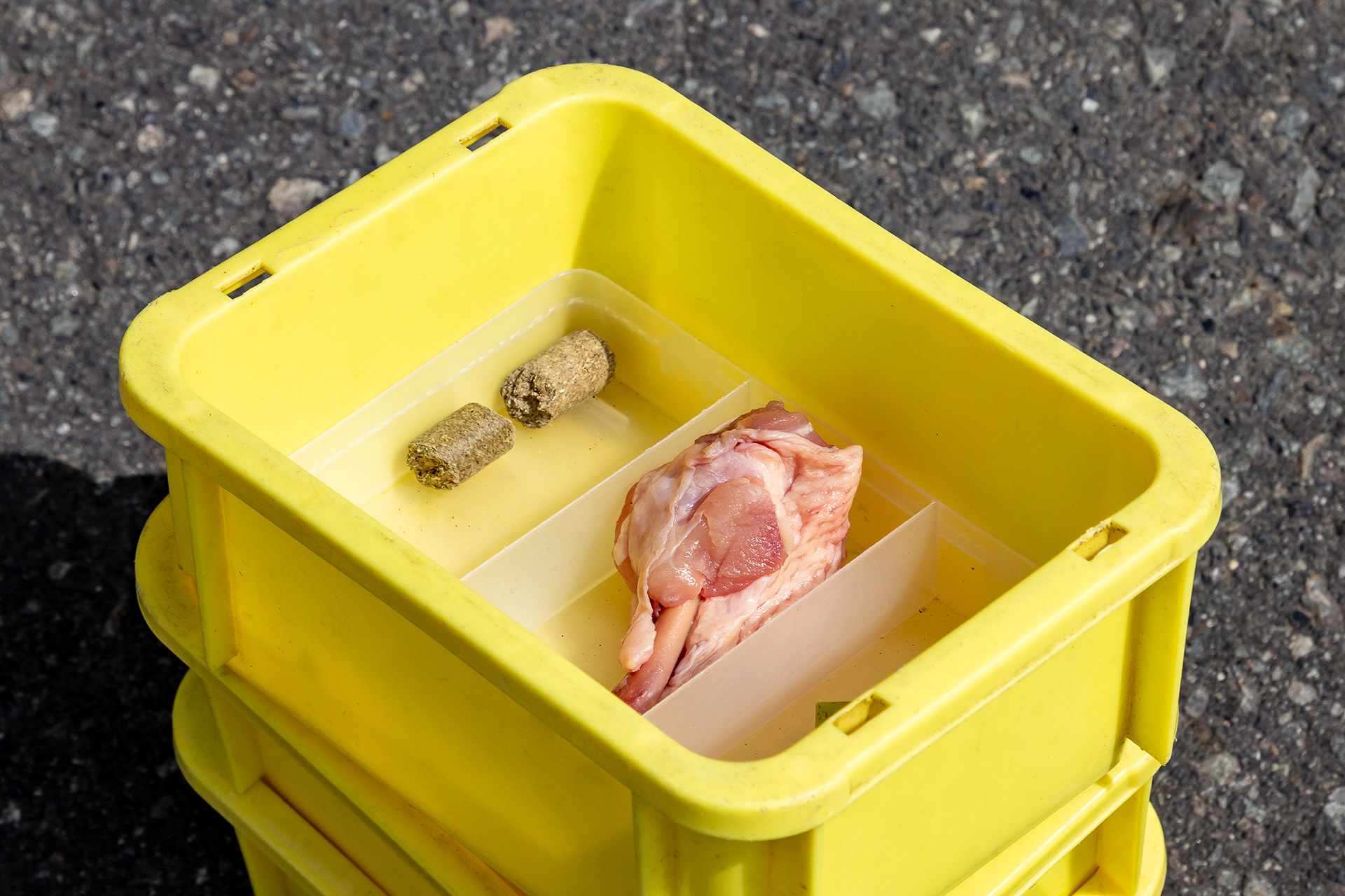 道中で使用するエサを受け取って車内へ