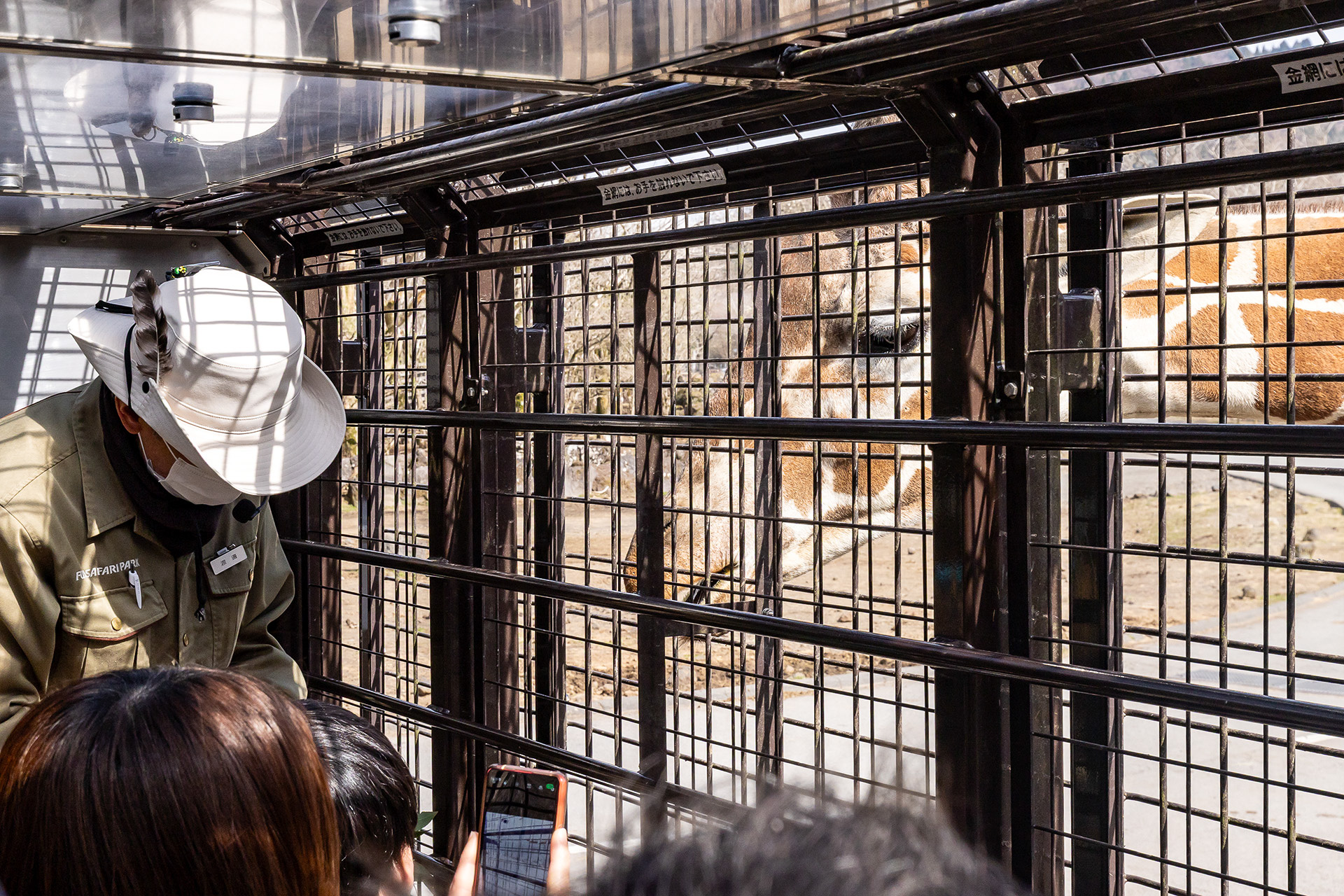 キリンさんも好きです