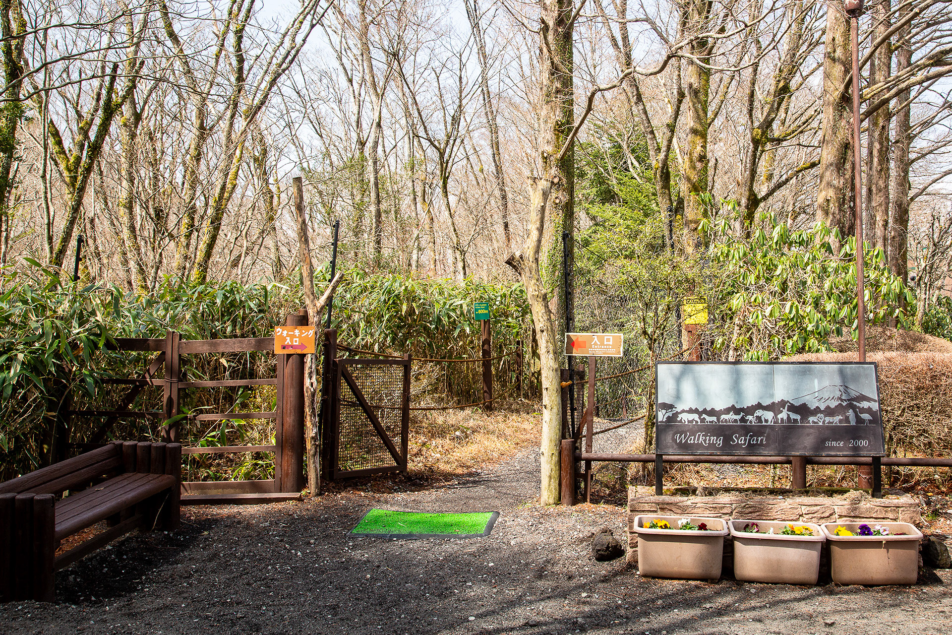 ここから森のなかを歩いていく。1周は約2.5kmで所要時間は2時間ほど。道中にはトイレがないので事前にすませておきたい