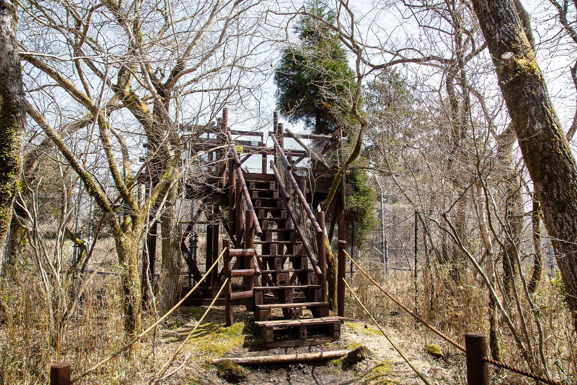 各動物のエリアにはこうした観察ポイントが設けられている