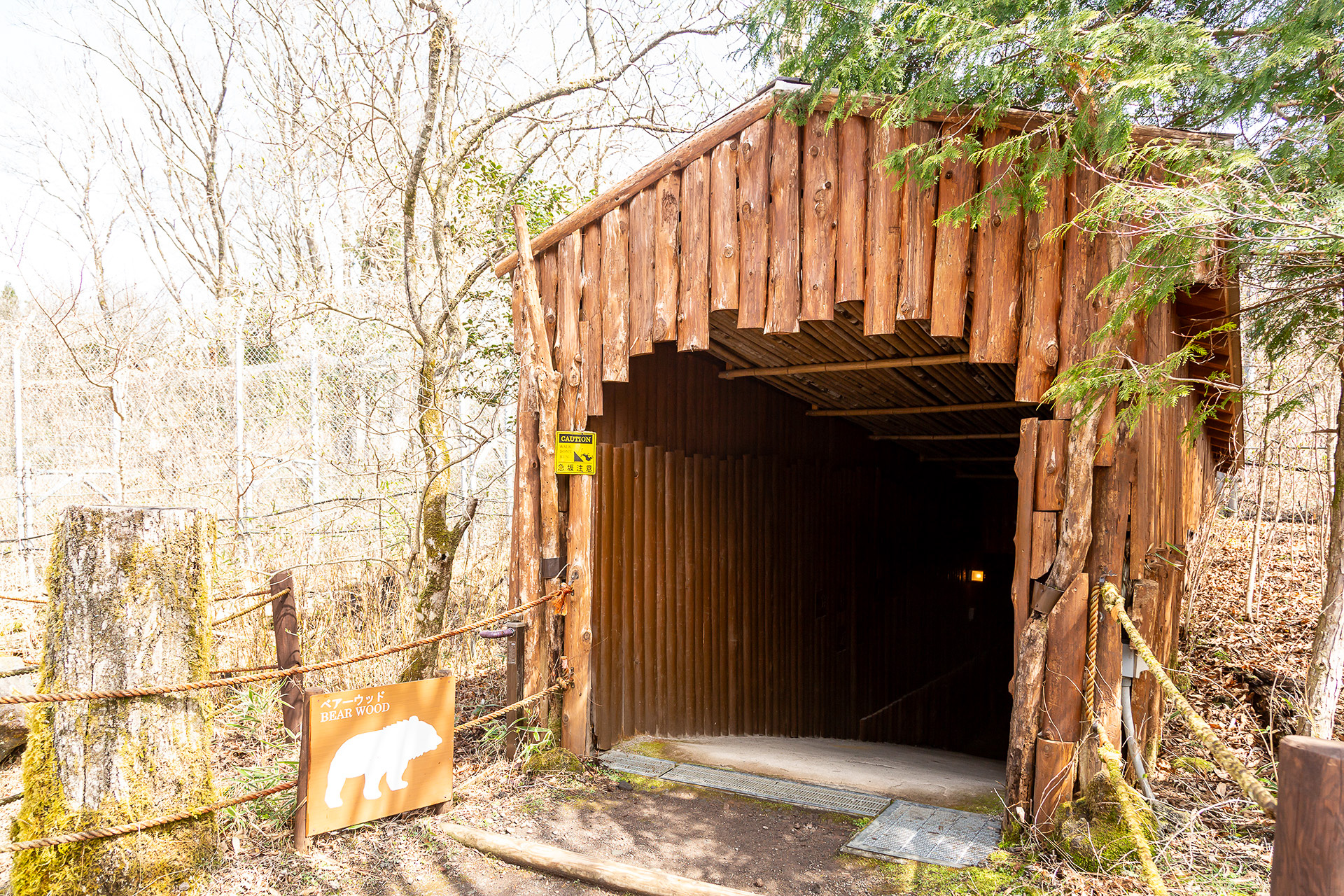 エリアのなかに入っていける観察ポイントもある