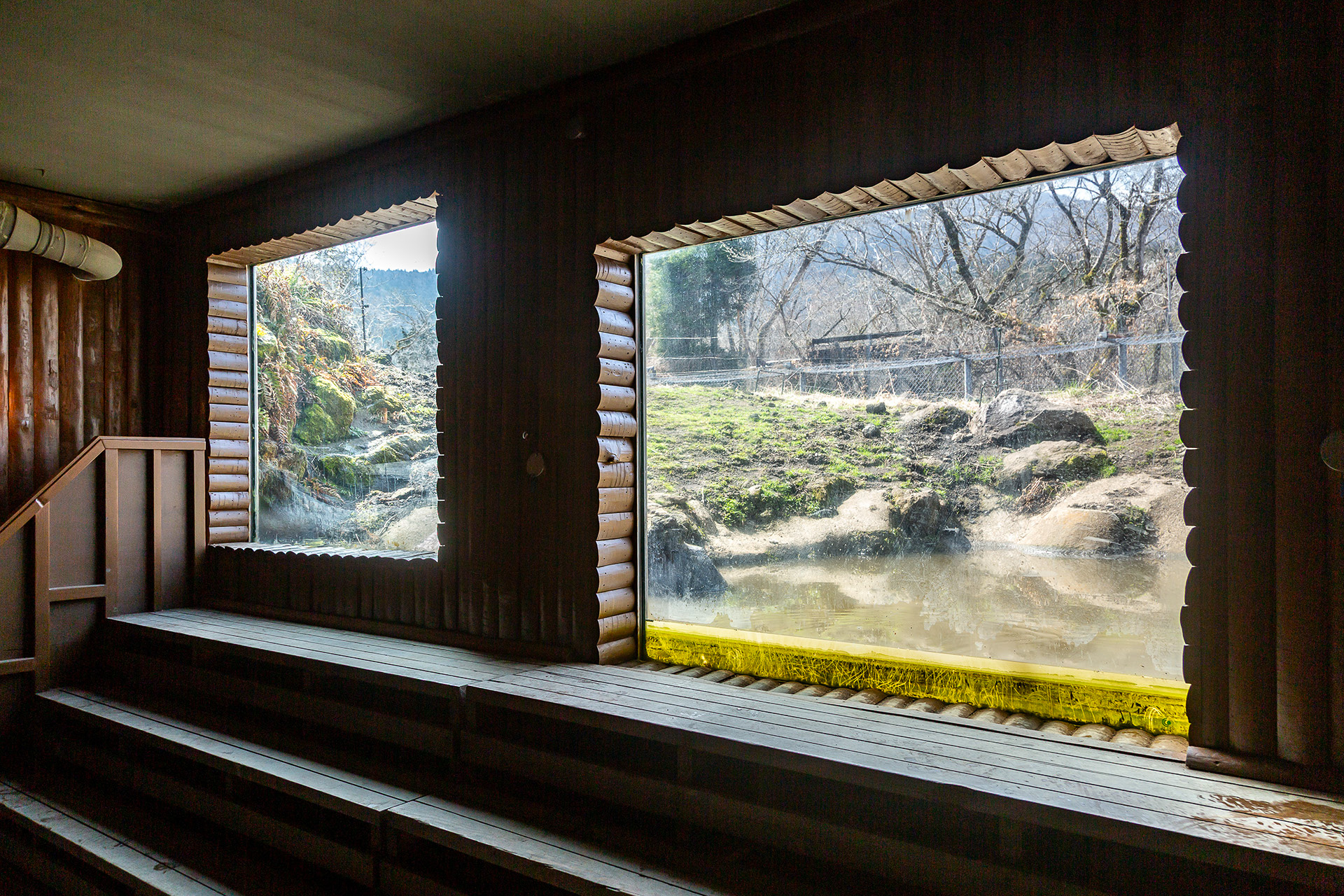 クマゾーンの観察ポイントとなる「ベアーウッド」は小さな池の前