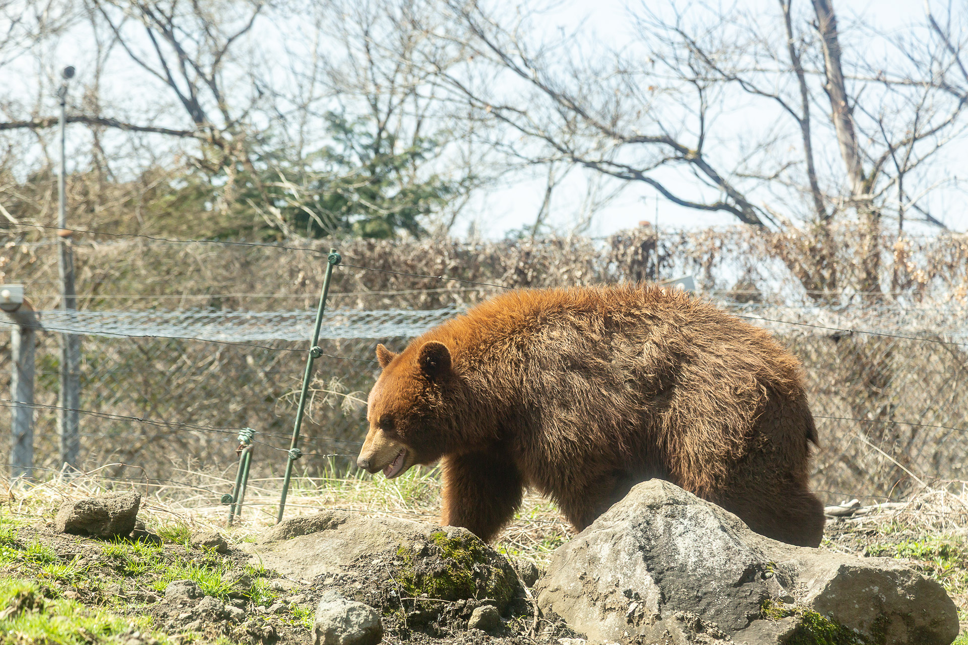 近くに寄ってきてくれることも