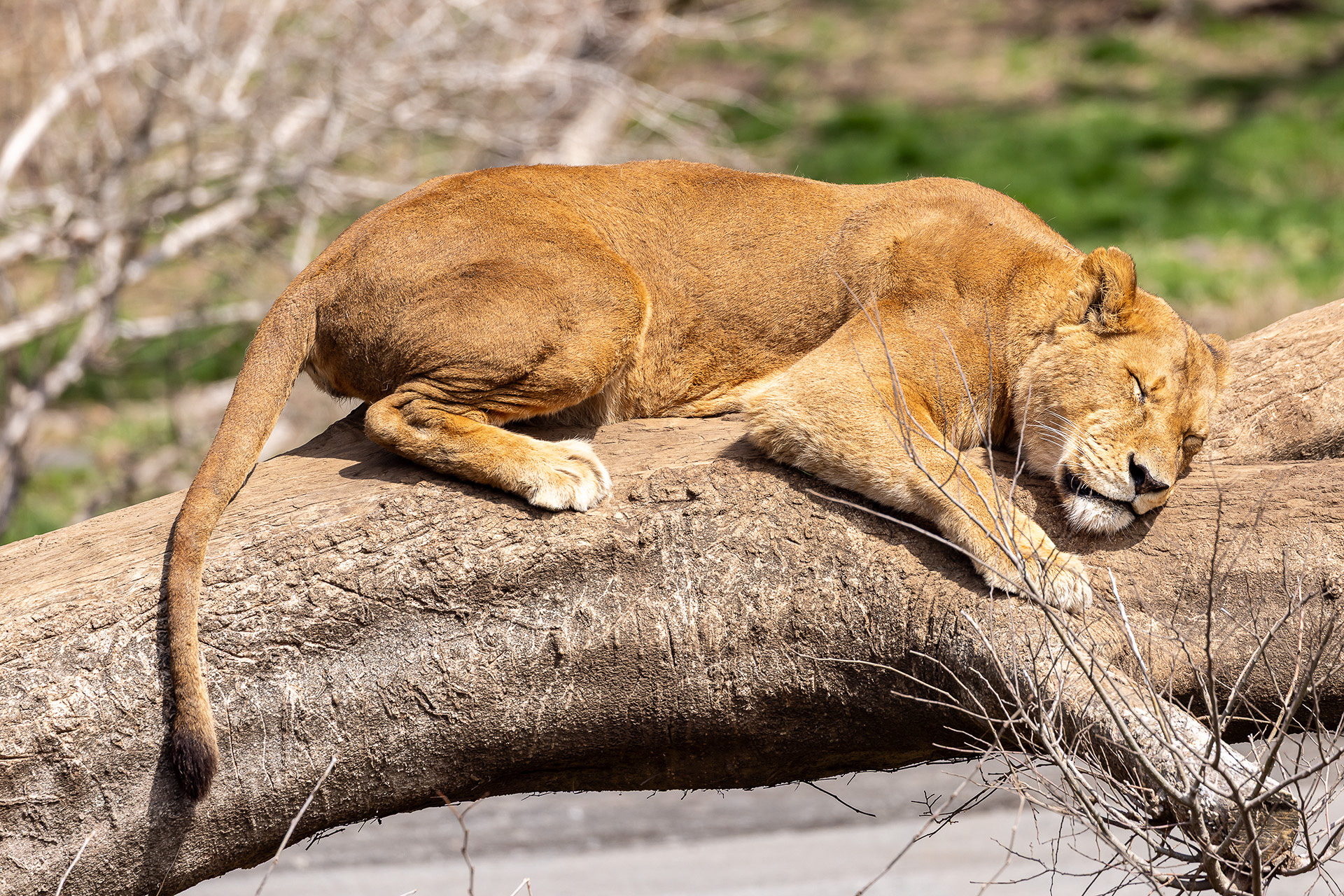 気持ちよさそう