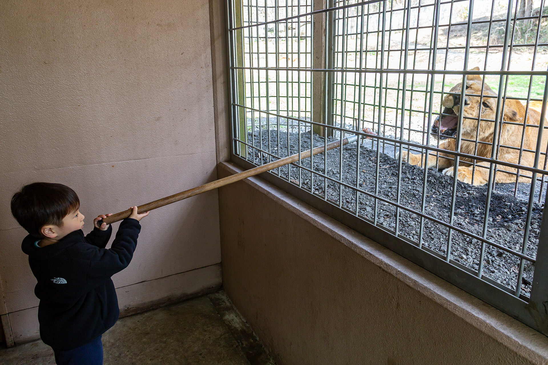 エサあげができるポイントもある