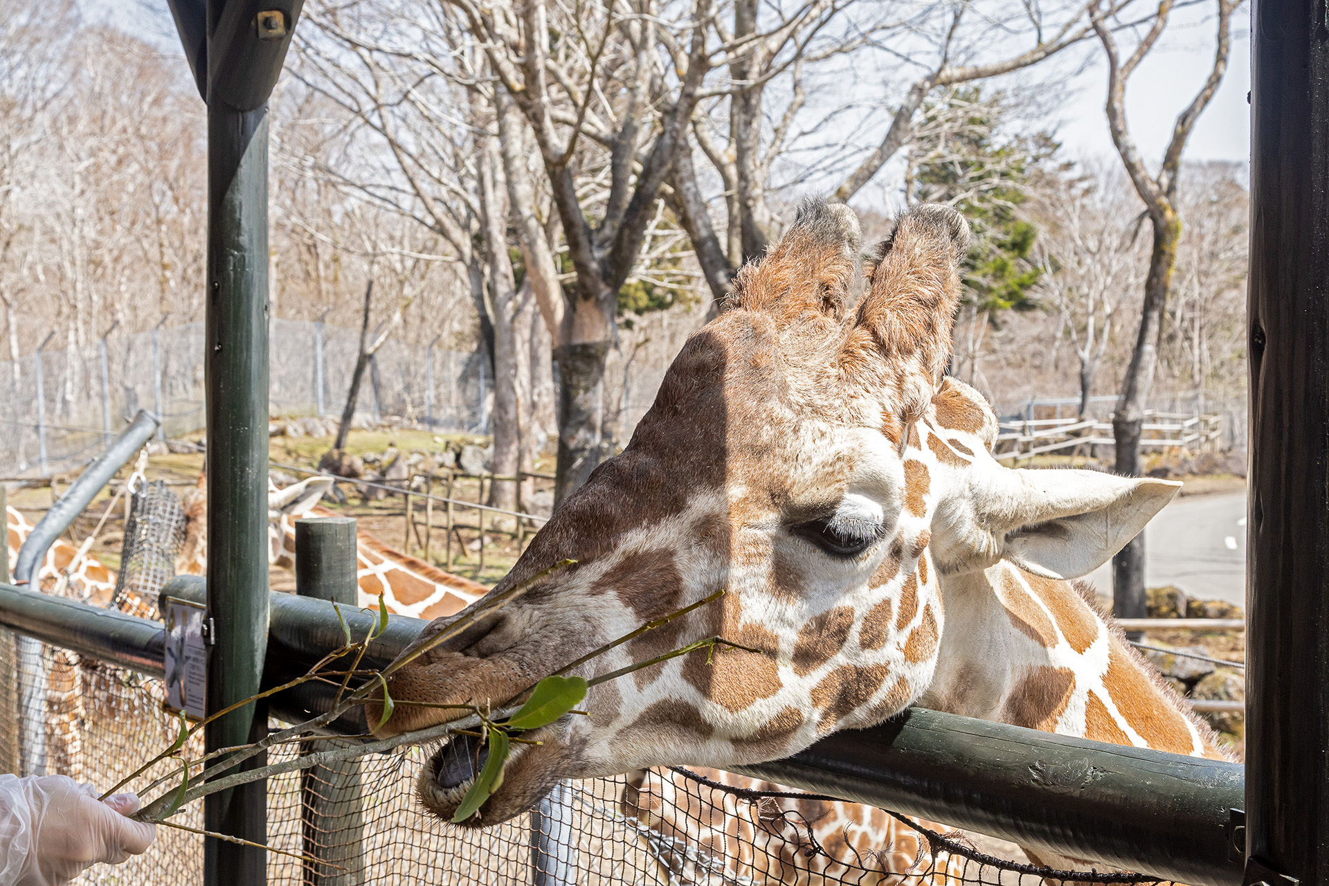 エサあげができる