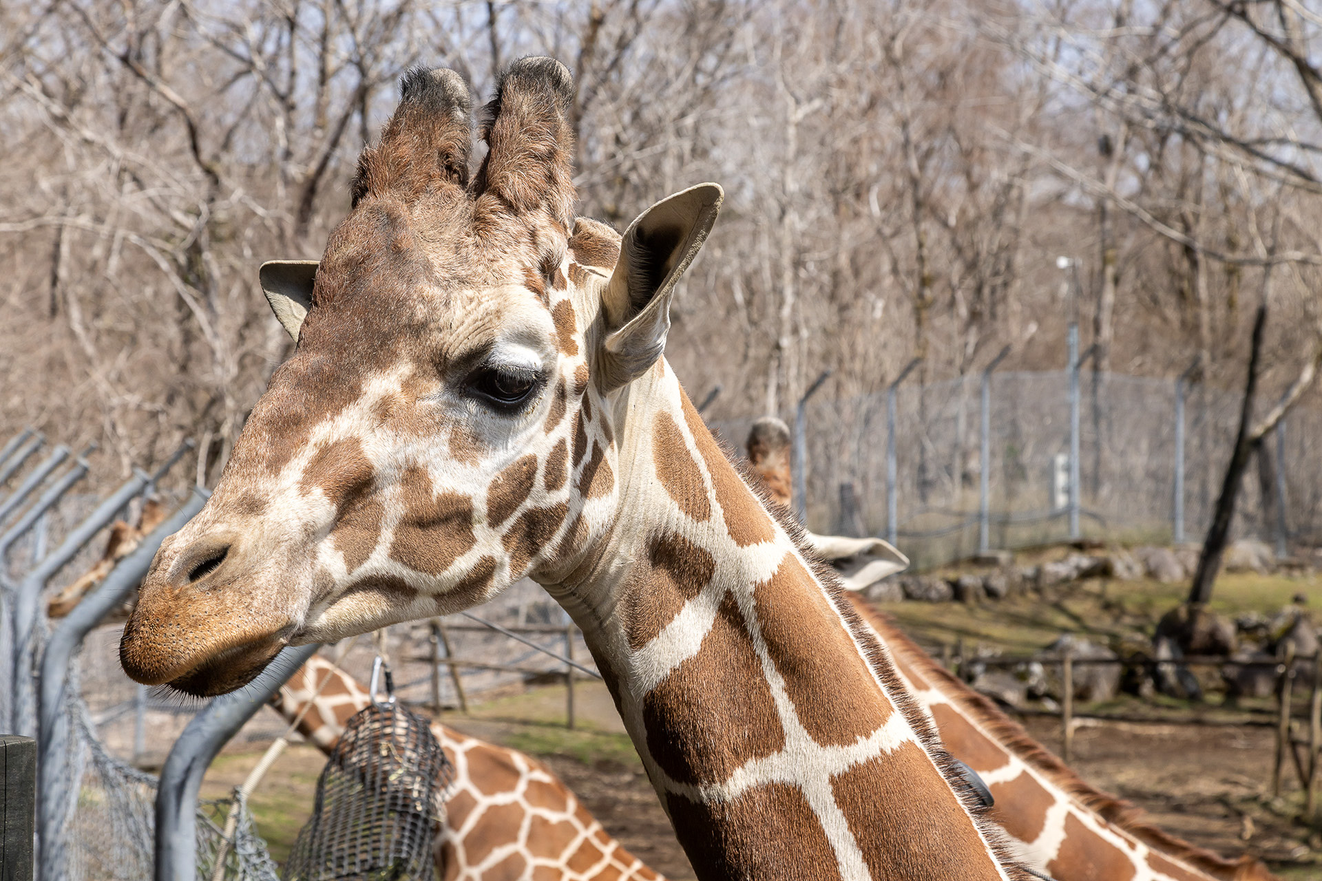まつ毛長いな～なんて観察できるほど近い