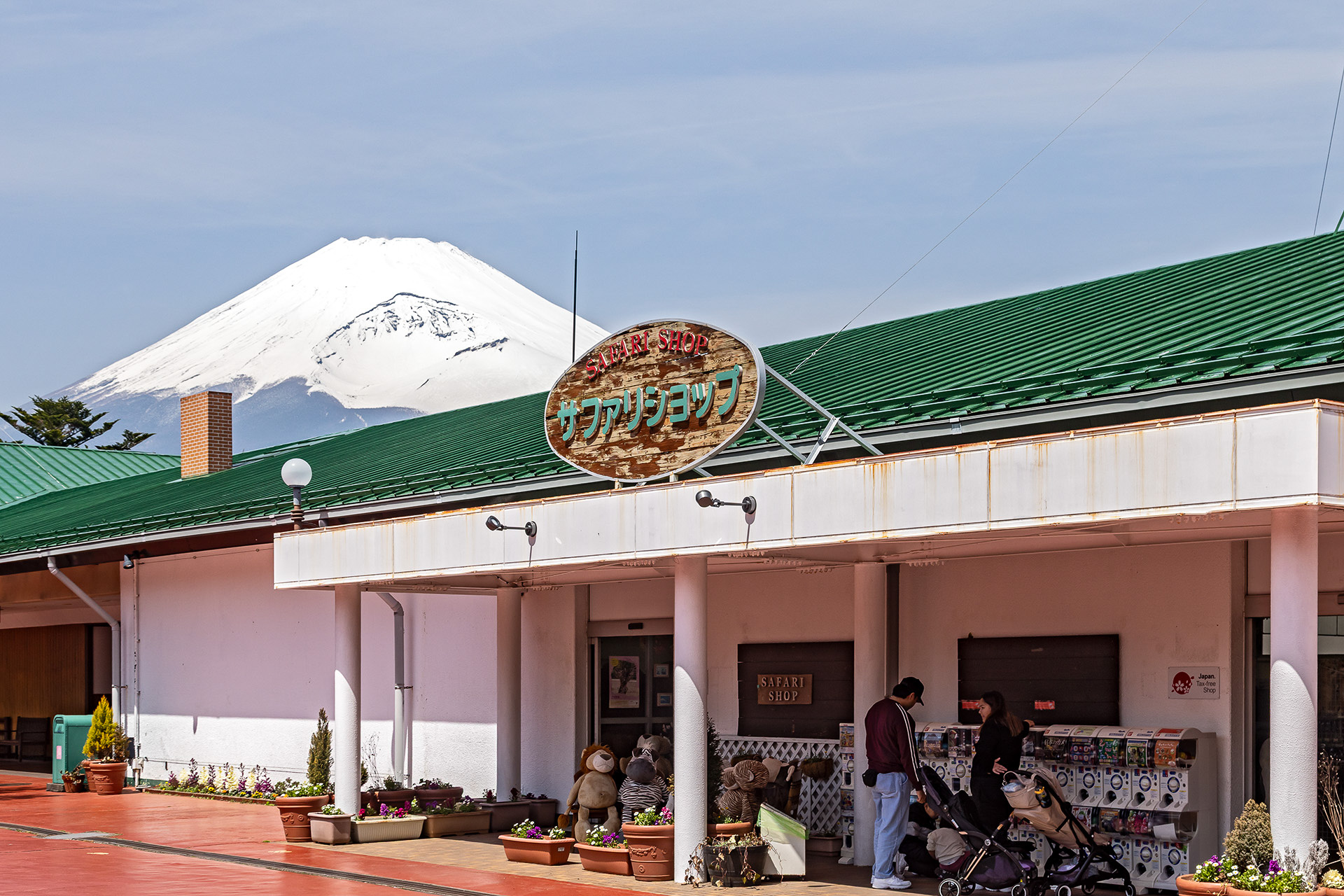 サファリショップ