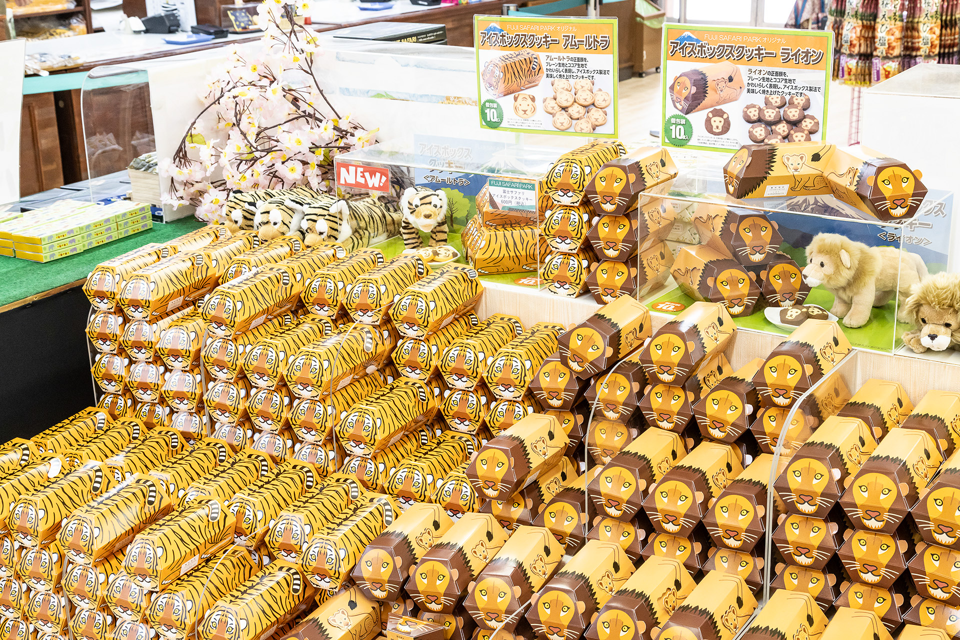 お土産の一番人気は「富士サファリ アイスボックスクッキー」。ライオンとトラの2種類。各600円