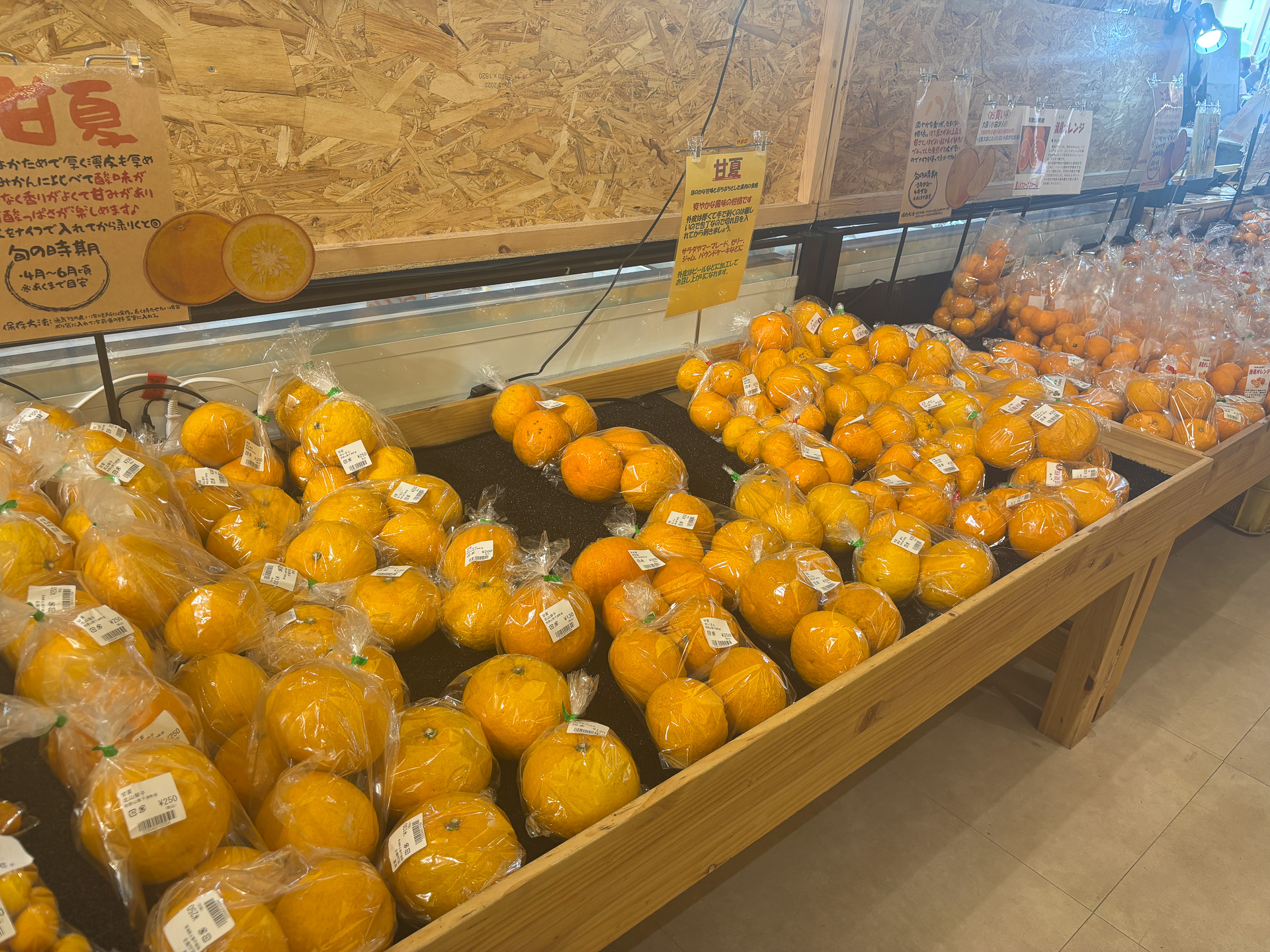 さまざまな品種のみかん、柑橘類の販売は圧巻