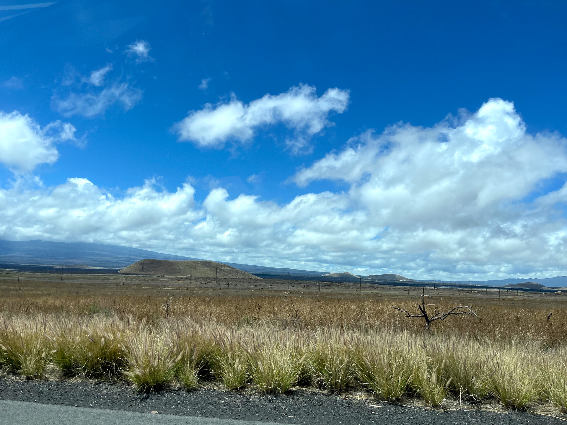 ドライブ中の景色。マウナケアの山裾を見ながら大陸を思わせる広大な土地のなかの一本道をひたすら走る