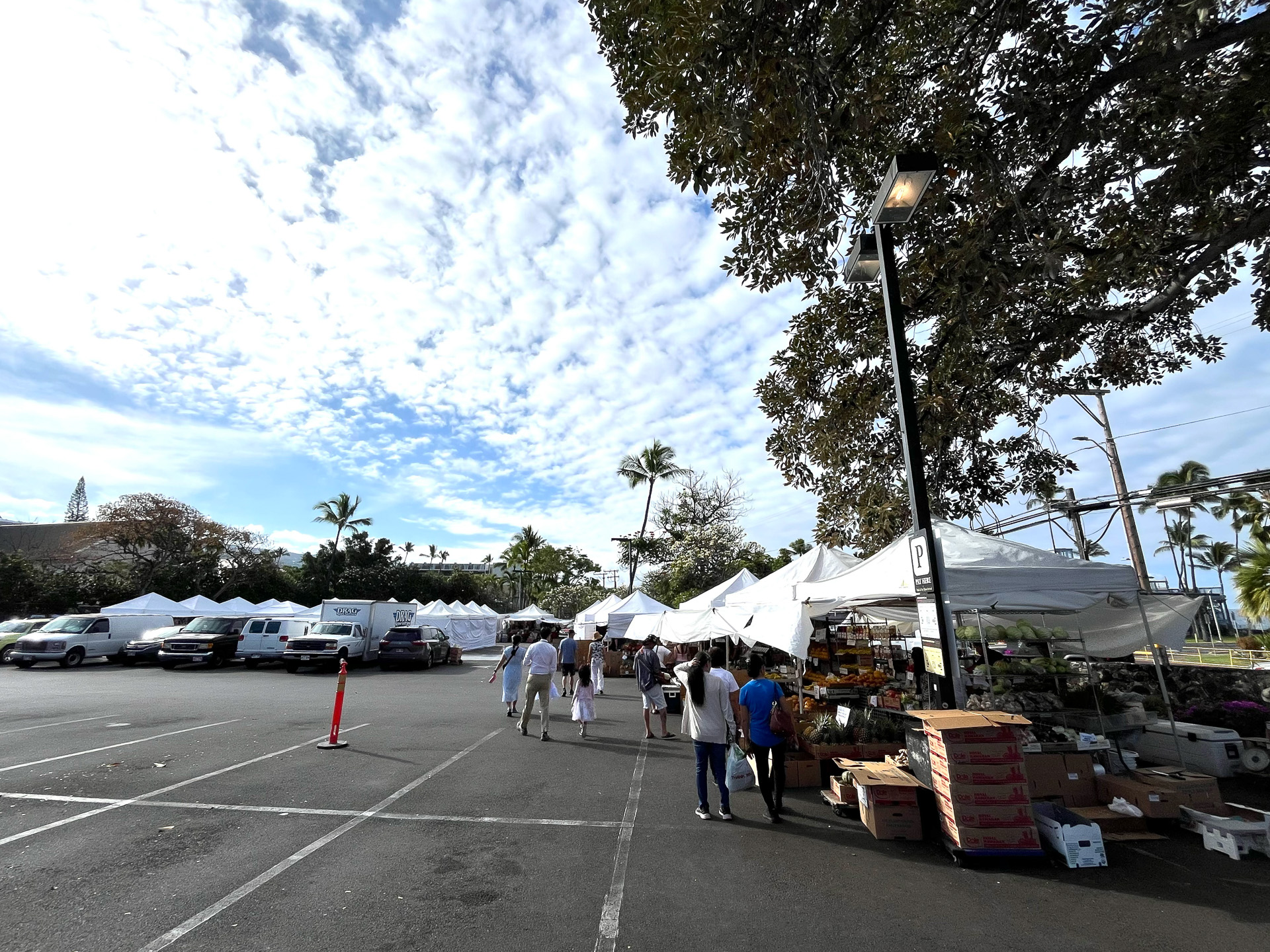 朝7時のオープン後にぞろぞろと人が集まってくる