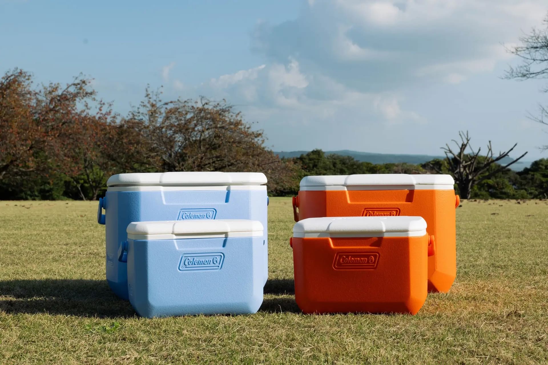 デイドリーム（左）、オレンジ（右）