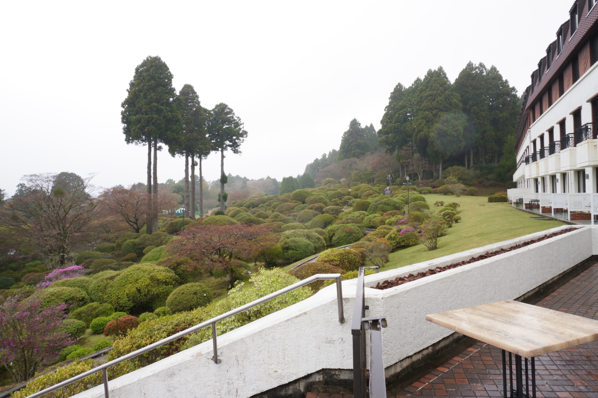 GW直前だったのでほんのりつつじが色付いている