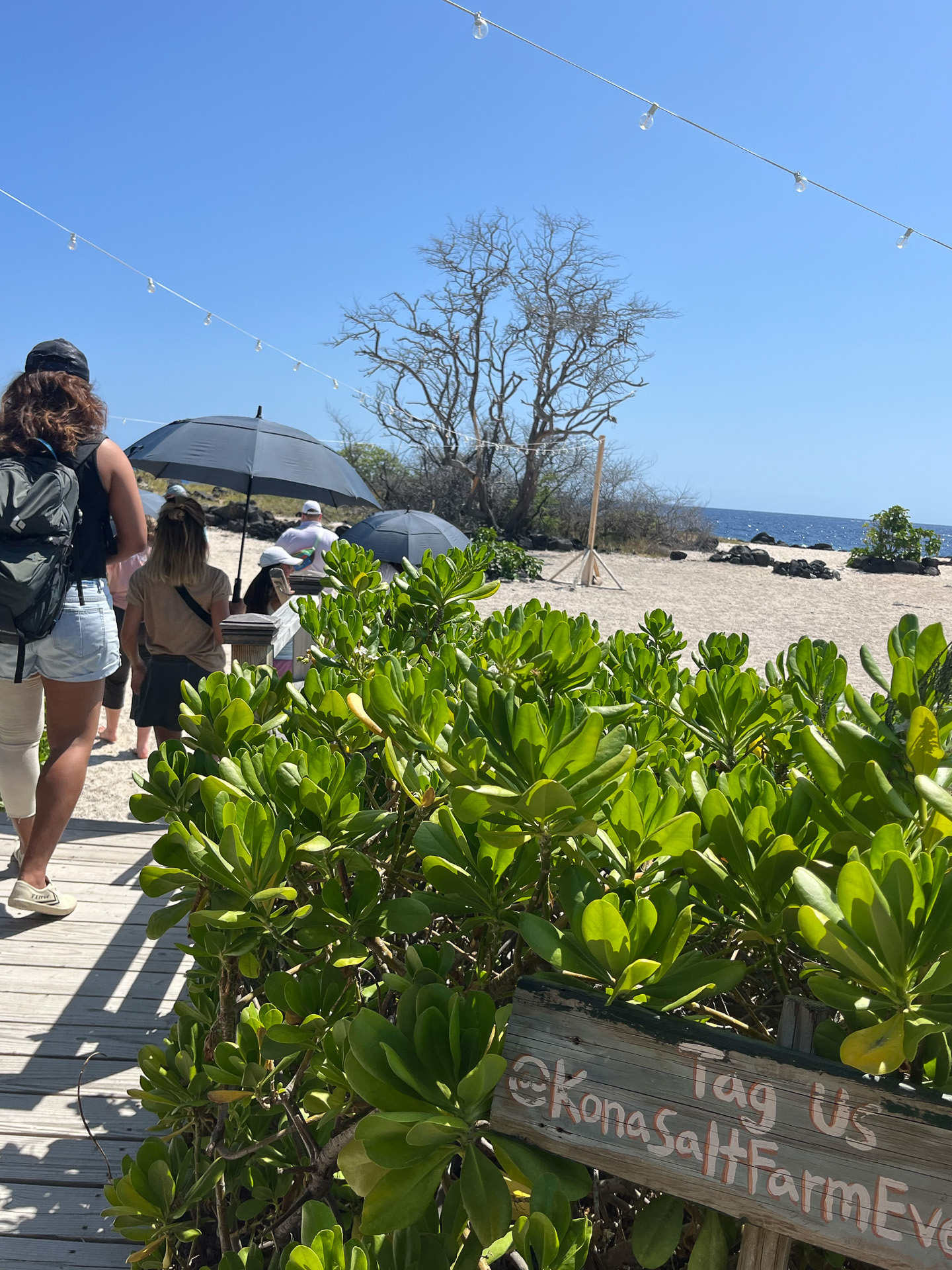 海の近くへ移動。日傘も貸してくれる