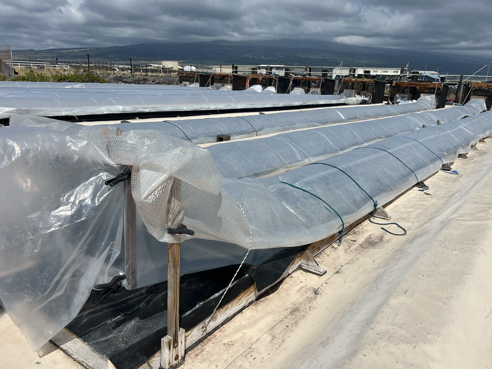 塩のファーム。水深670mから汲み上げた海水から塩を採取する