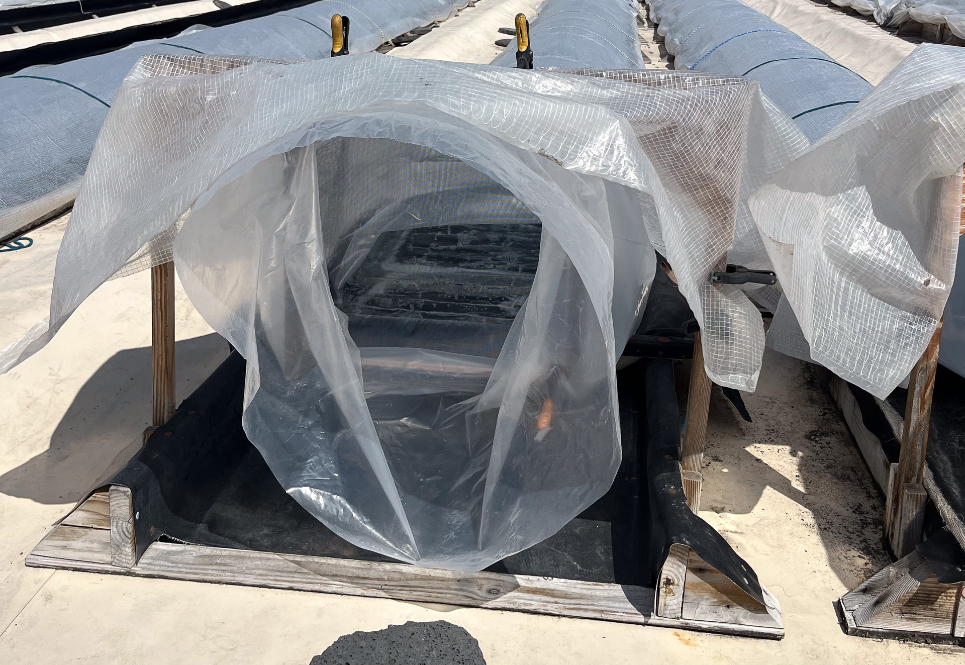 シートで覆われた塩田のなかの様子を、横から覗くことができる