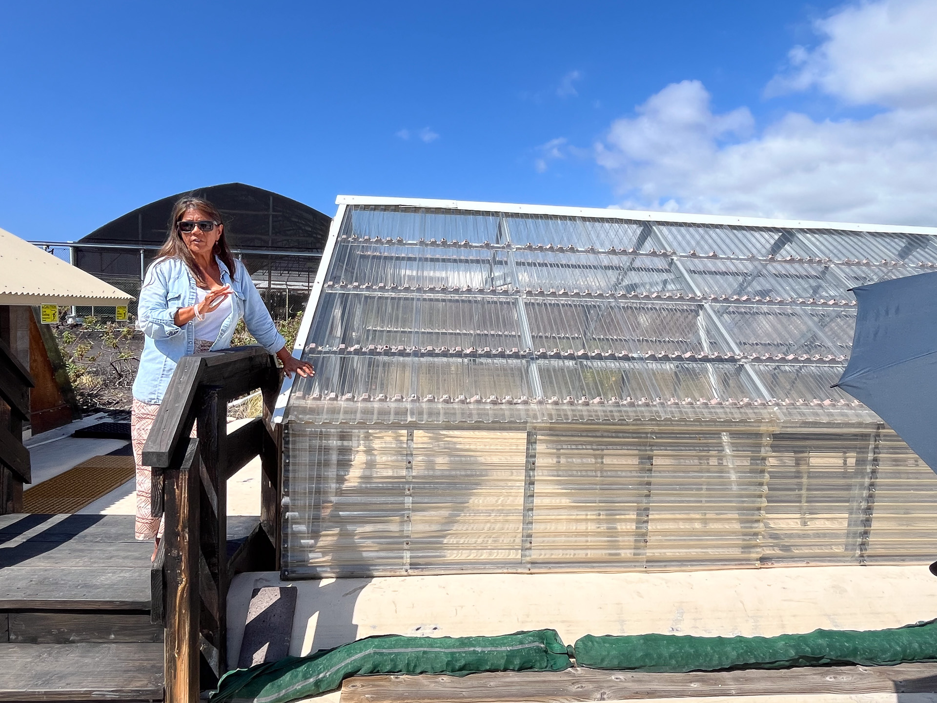 採れたての塩があるハウス